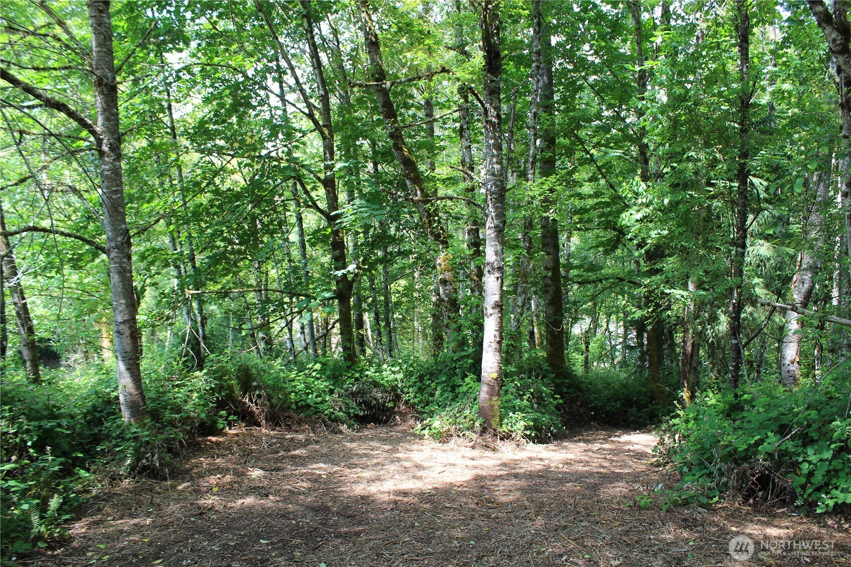 0 Carrolls Road Property Photo 10