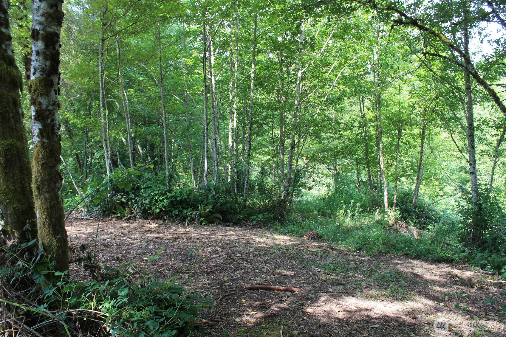 0 Carrolls Road Property Photo 11