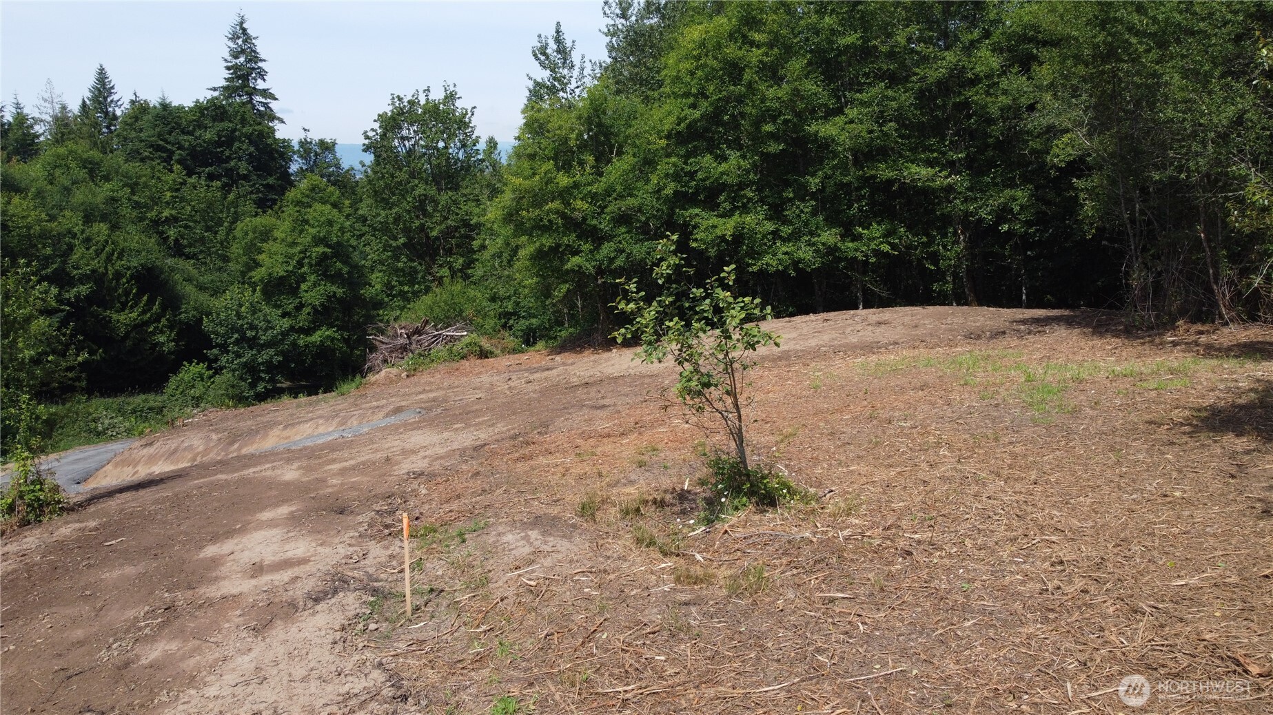 0 Carrolls Road Property Photo 5