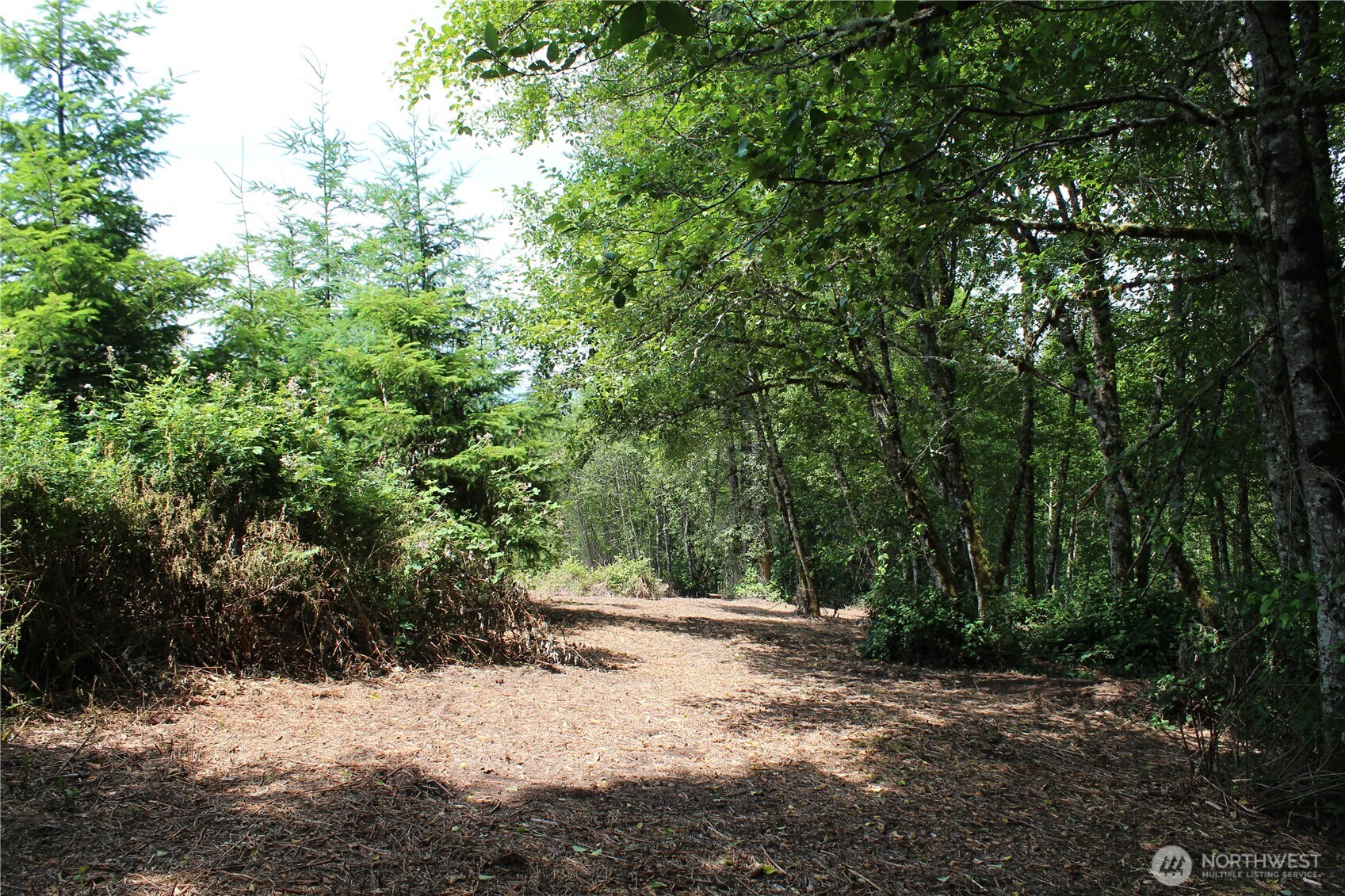 0 Carrolls Road Property Photo 6