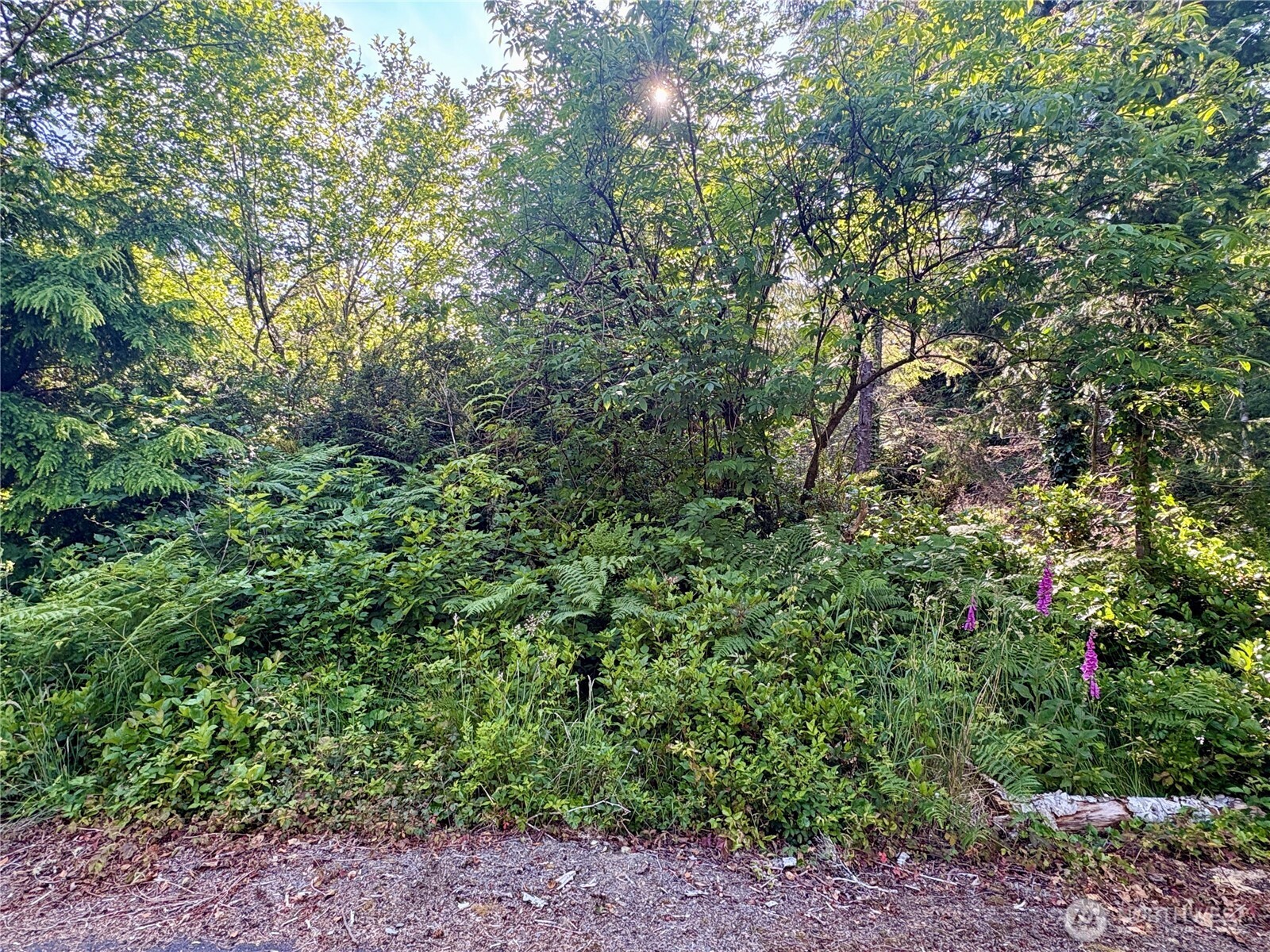 285 Xx Z Street Property Photo 1