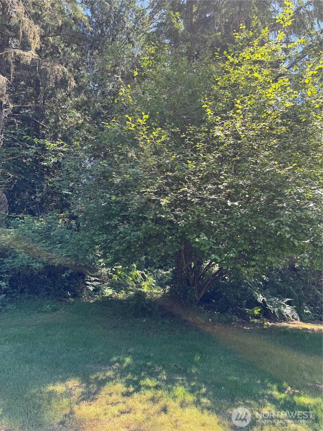 12408 93rd Street Property Photo 1