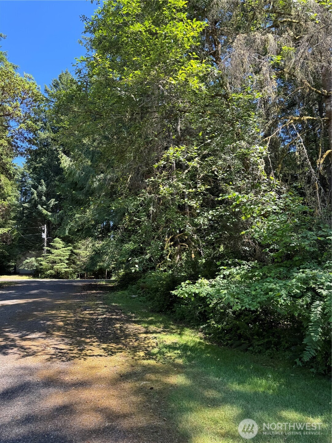 12408 93rd Street Property Photo 3