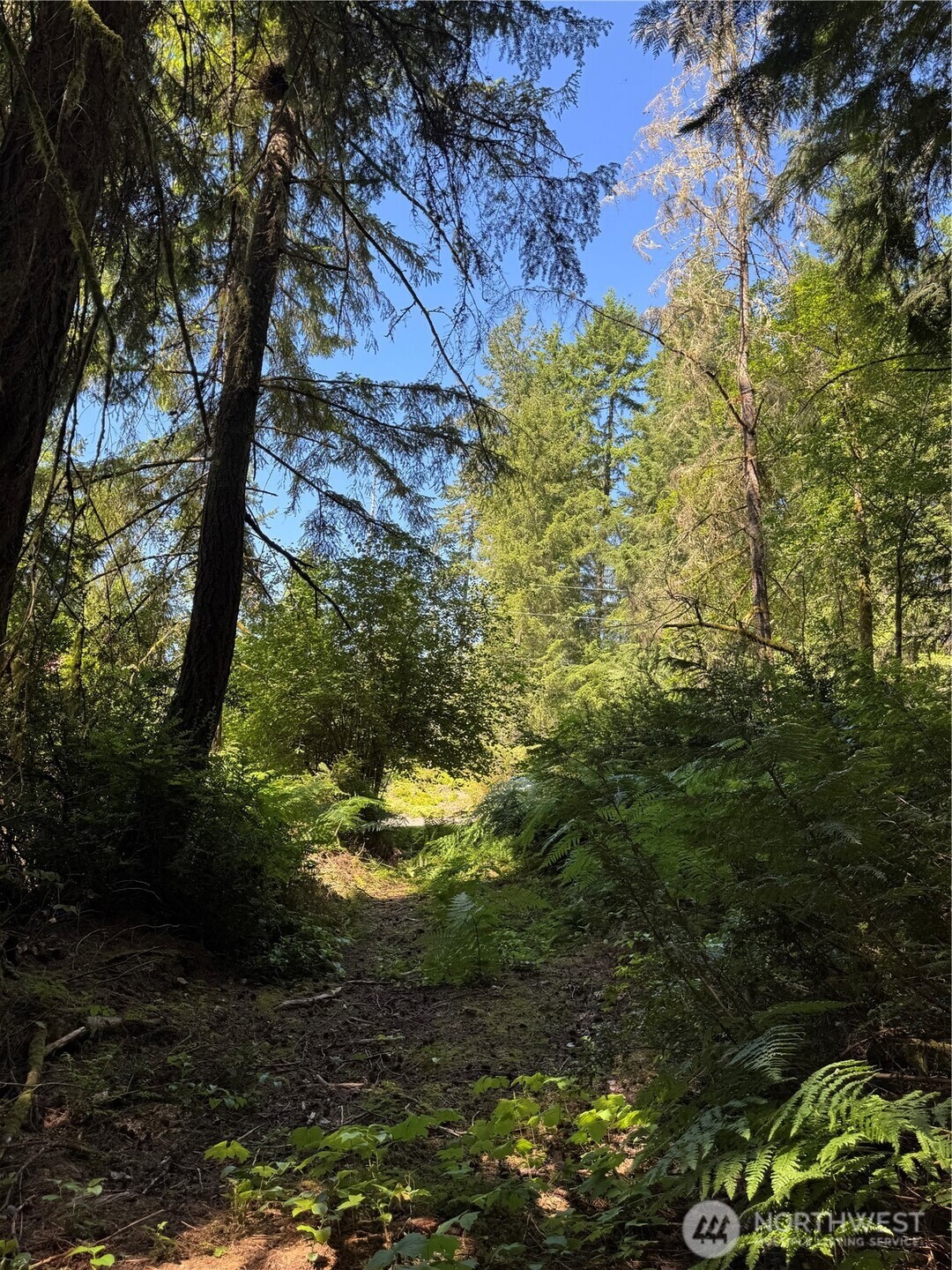 12408 93rd Street Property Photo 4