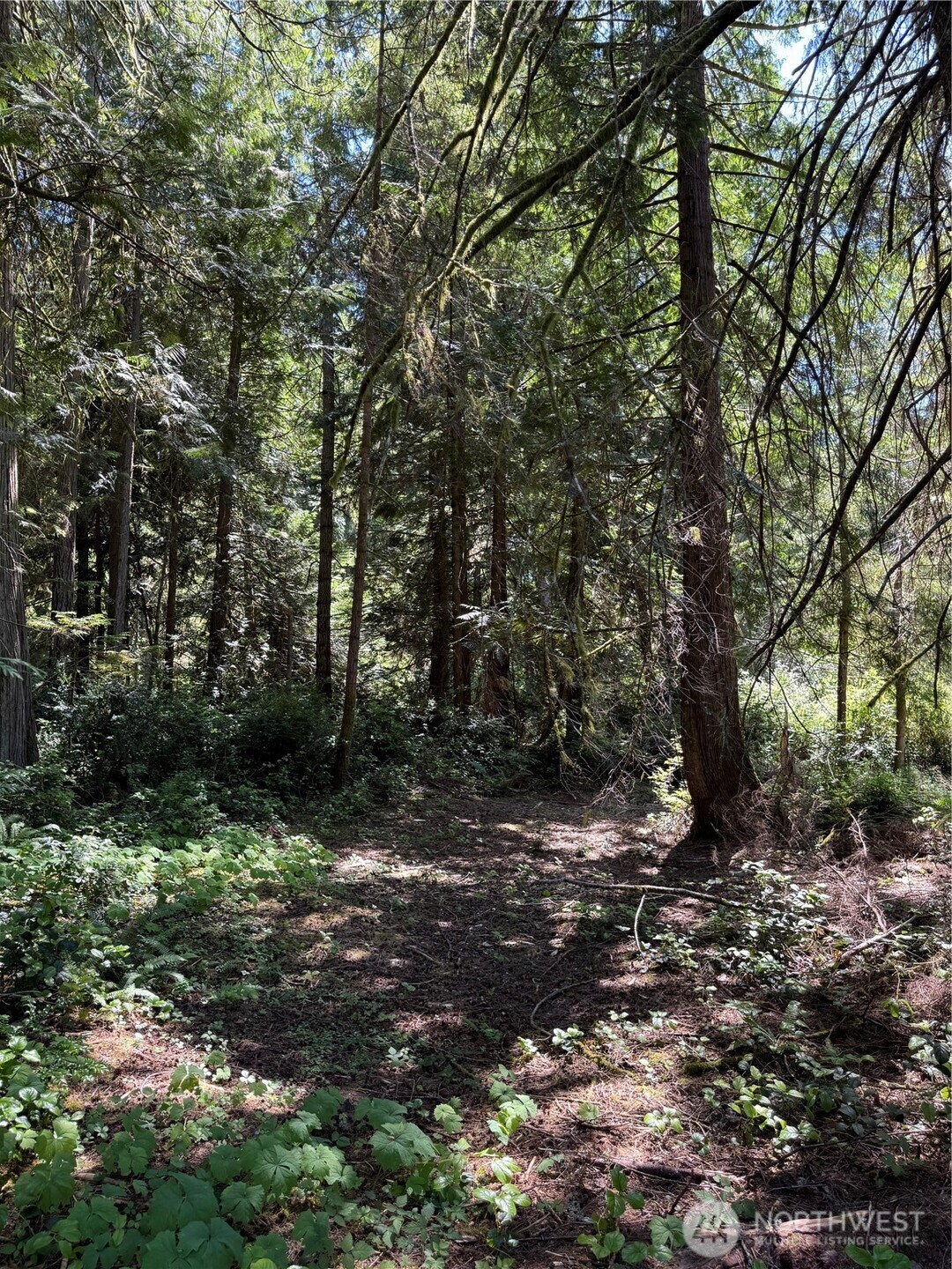 12408 93rd Street Property Photo 5