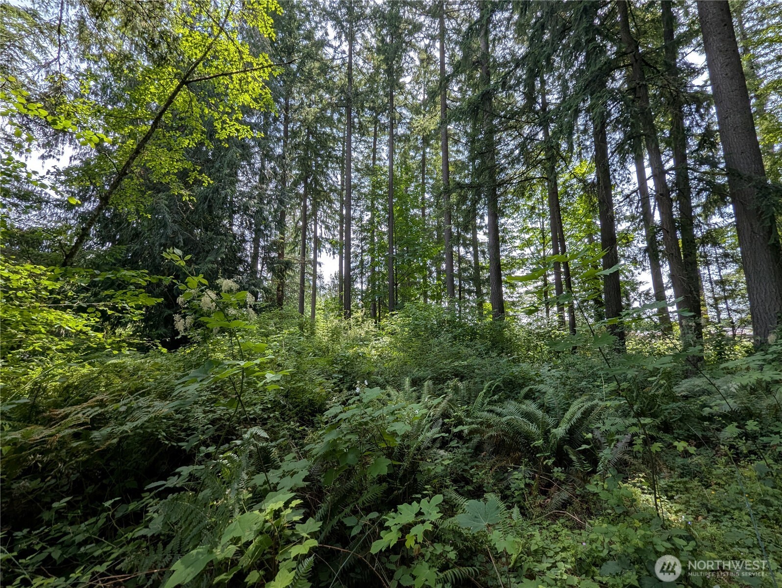 4522 Intelco Loop Property Photo 5