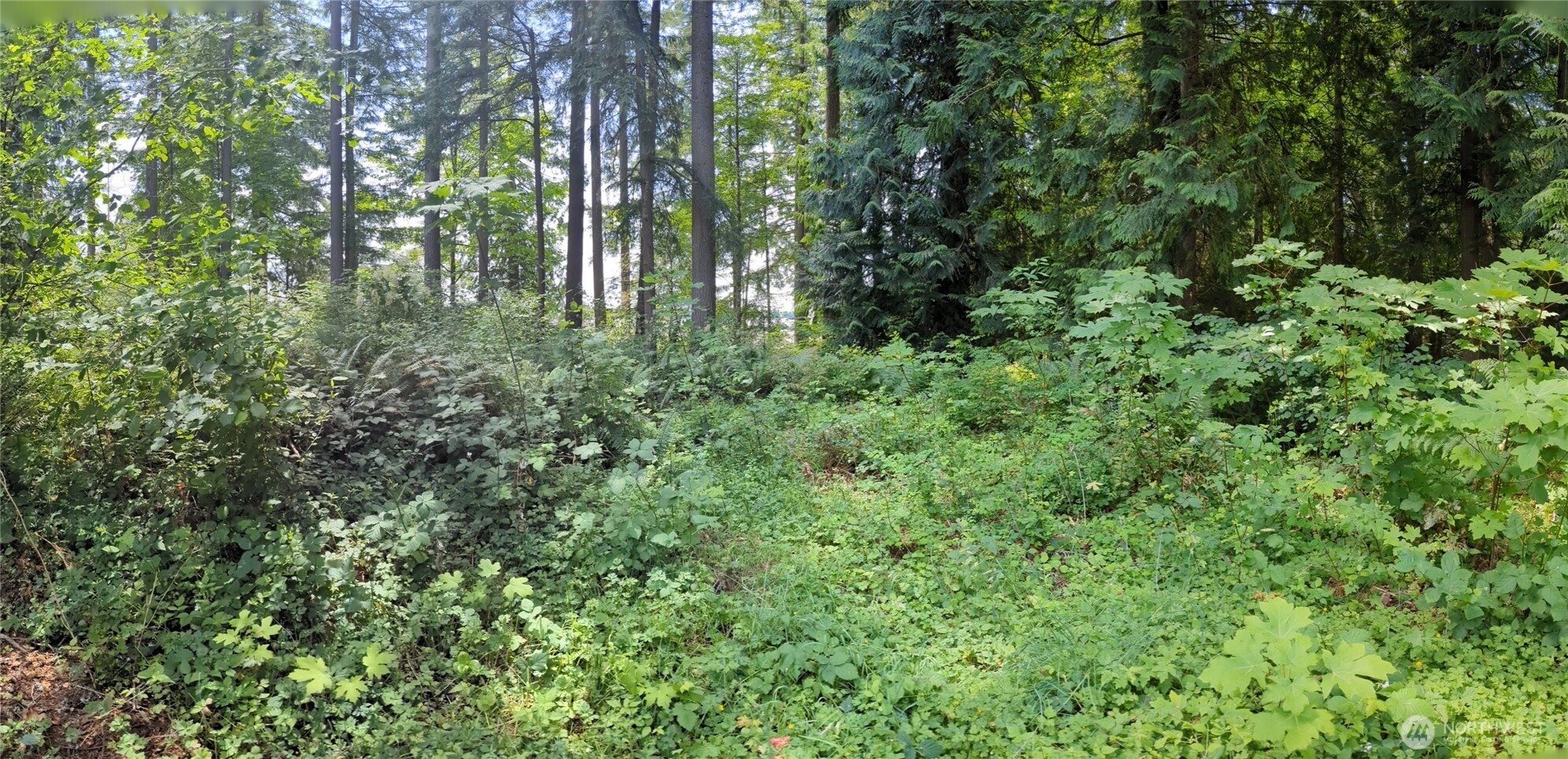 4522 Intelco Loop Property Photo 6