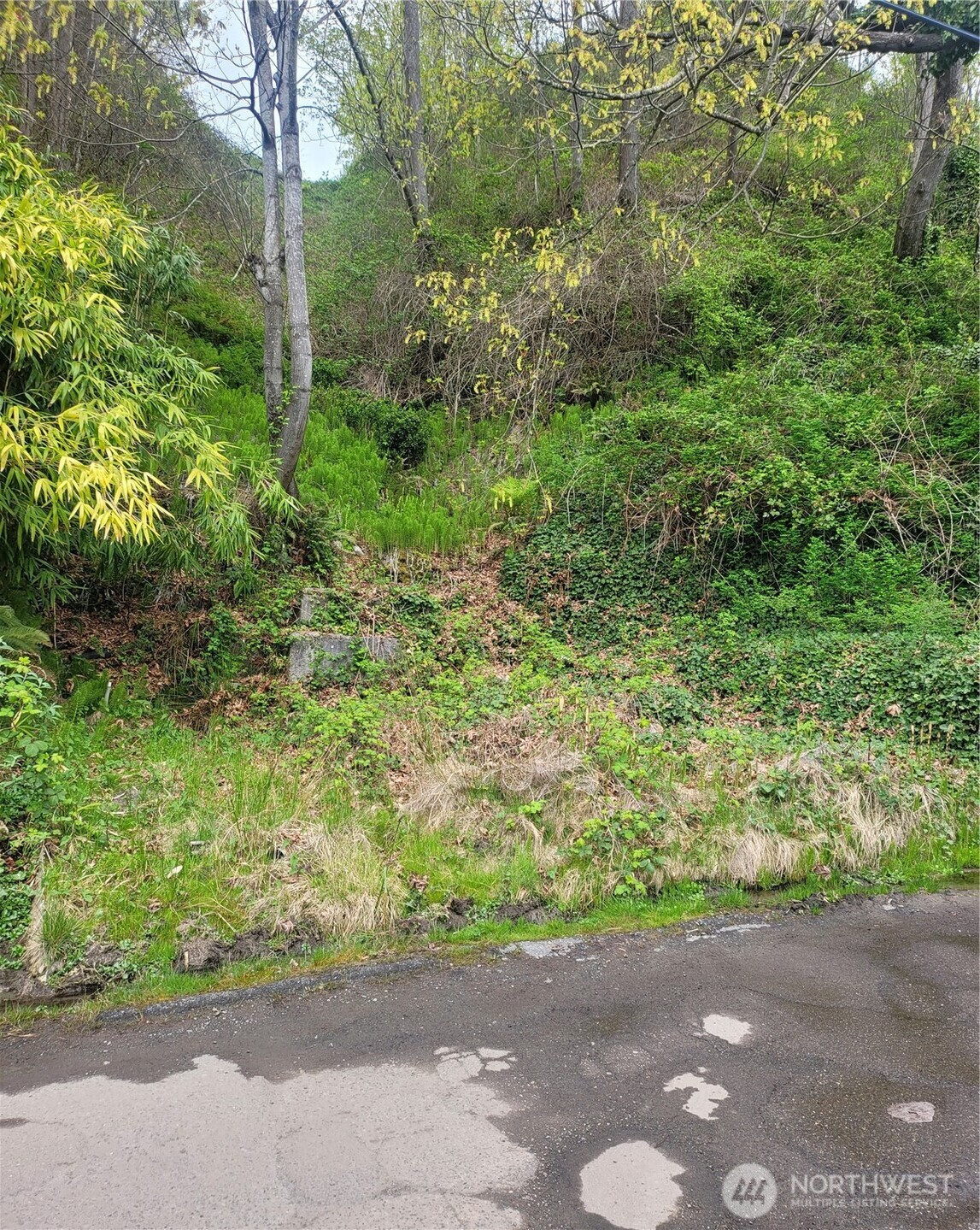 2318 Perkins Lane Property Photo 2