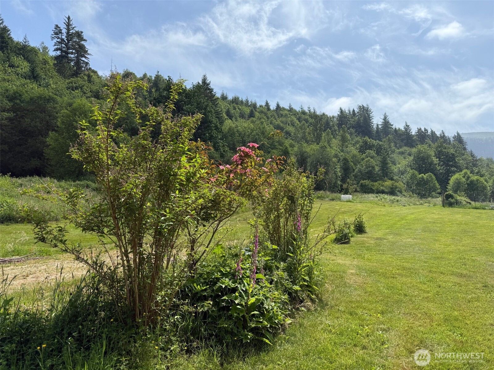 36508 312th Avenue Property Photo 6