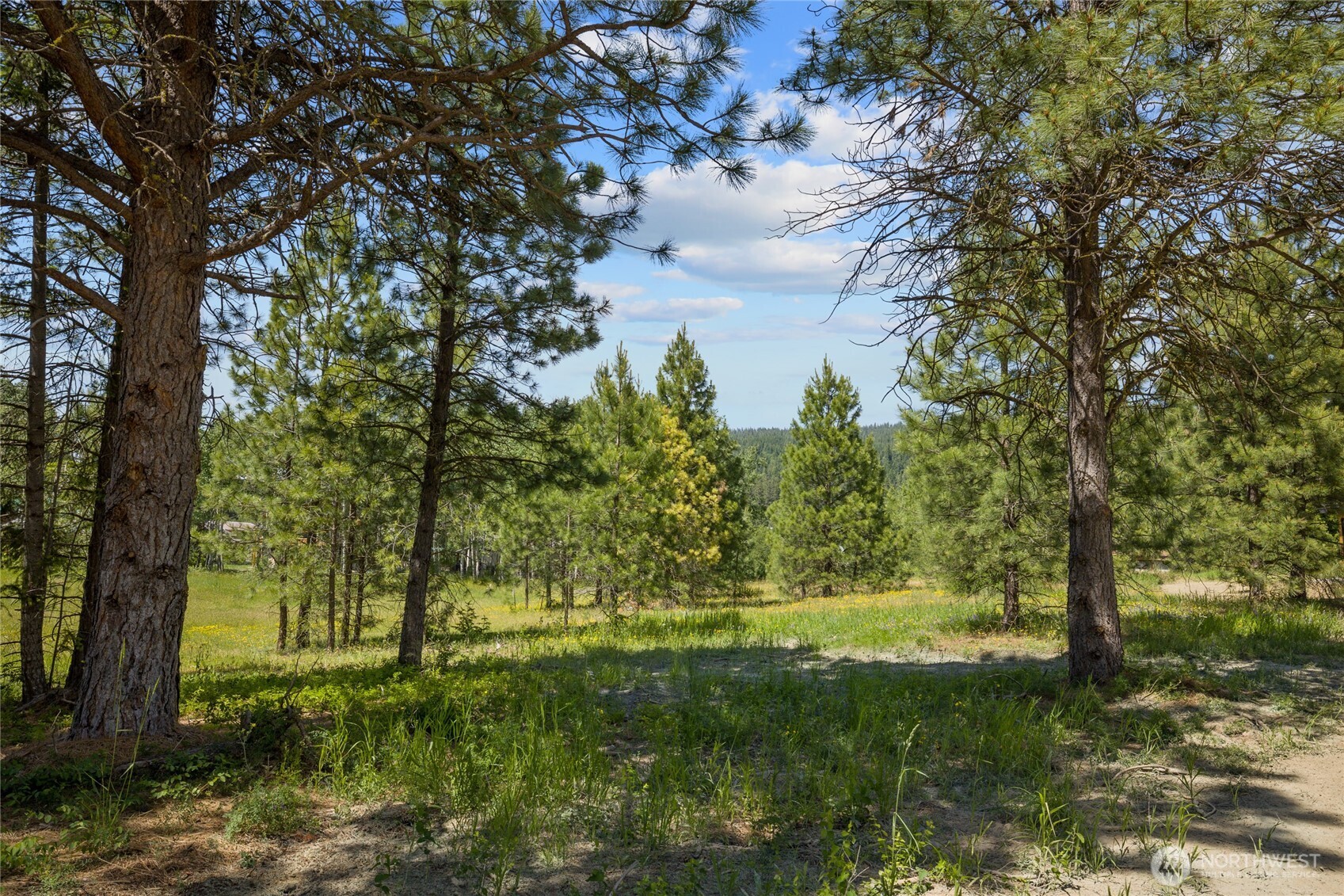 470 Old Grove Trail Property Photo 1