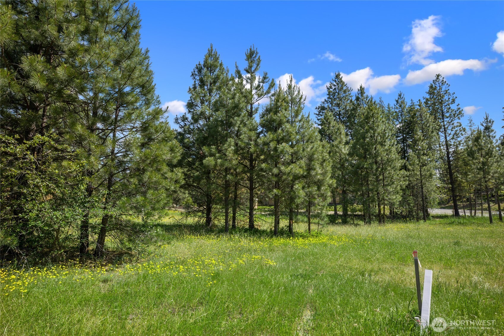 470 Old Grove Trail Property Photo 7