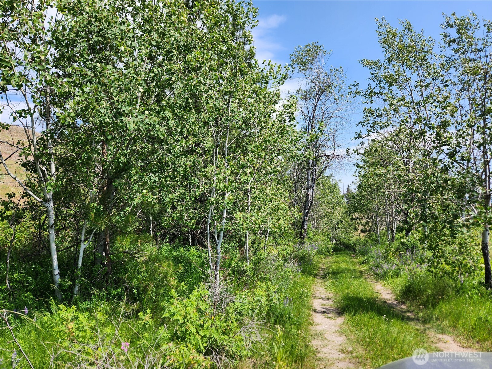 0 Roundabout Road Property Photo 1