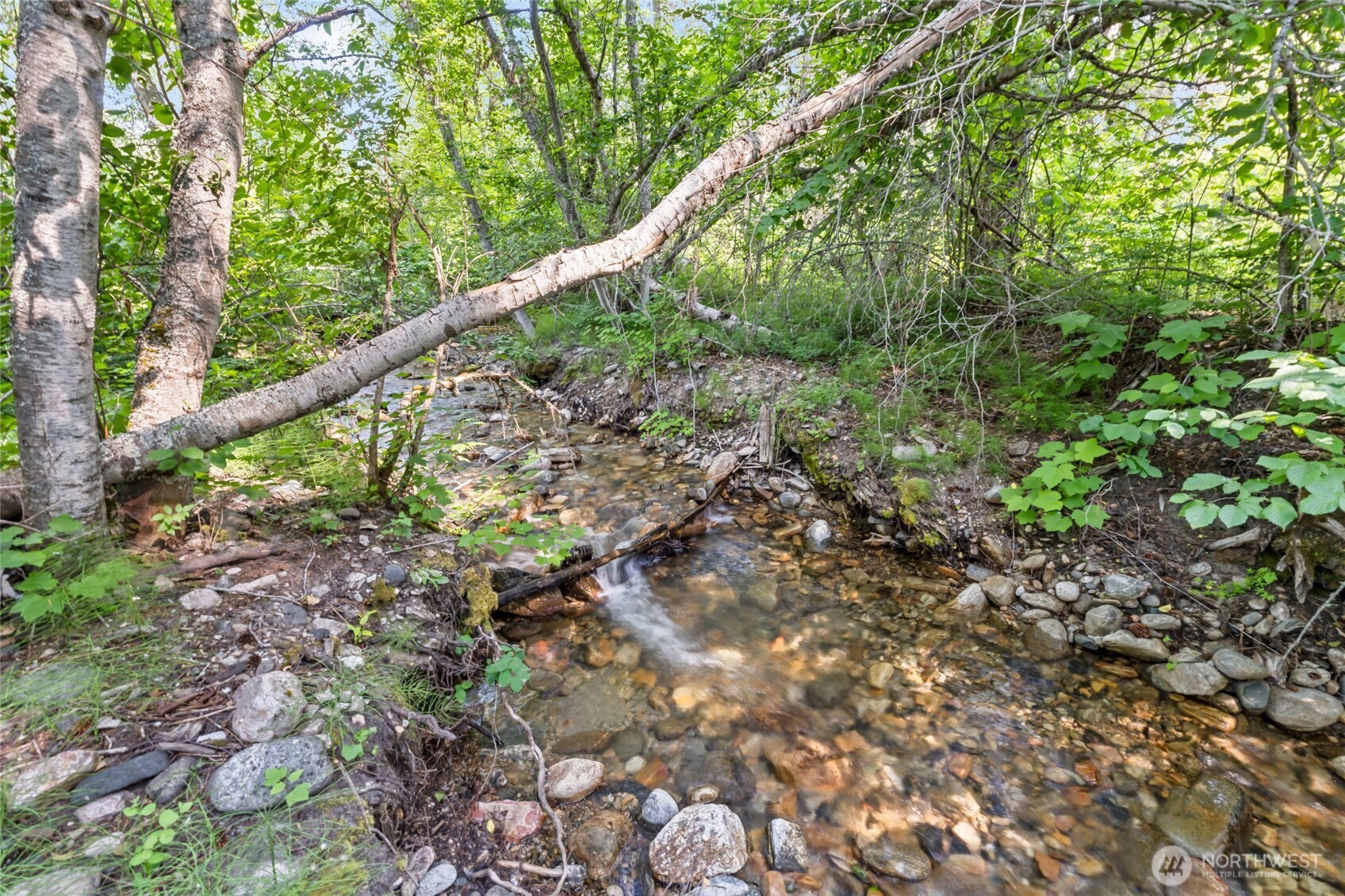 8 Xx Nancy Creek Rd. Property Photo 2