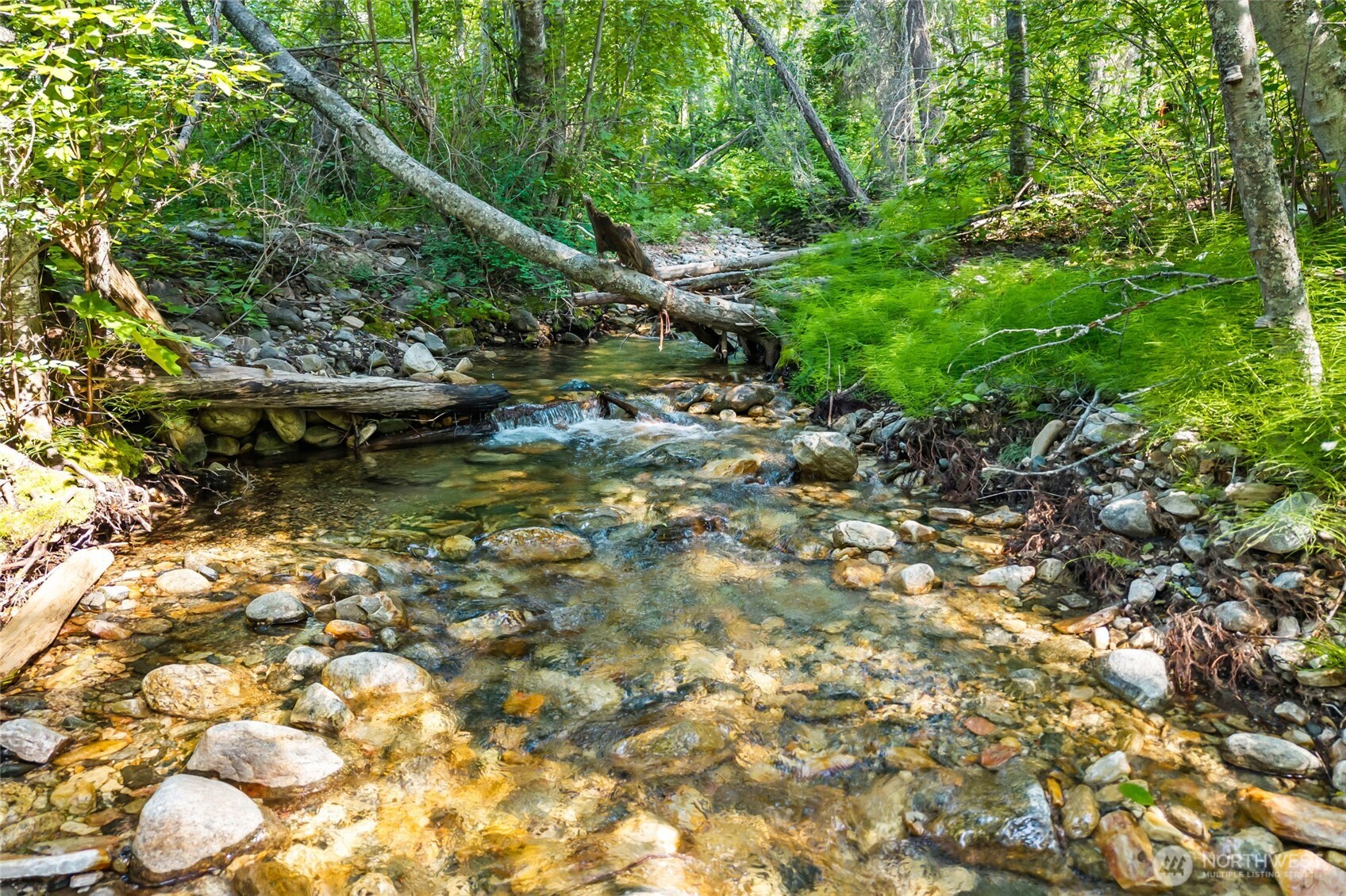 8 Xx Nancy Creek Rd. Property Photo 3