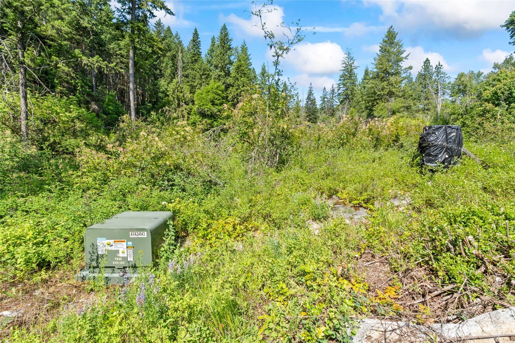 8 Xx Nancy Creek Rd. Property Photo 6