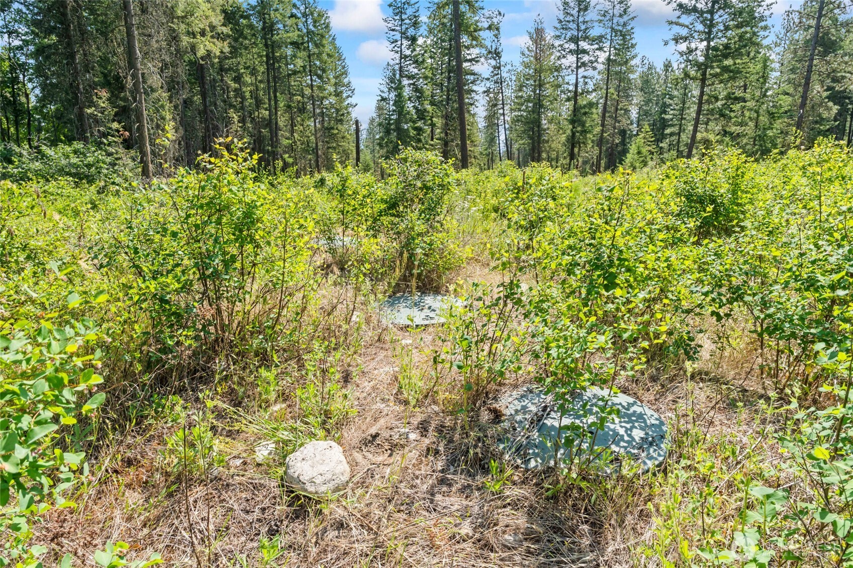 8 Xx Nancy Creek Rd. Property Photo 7