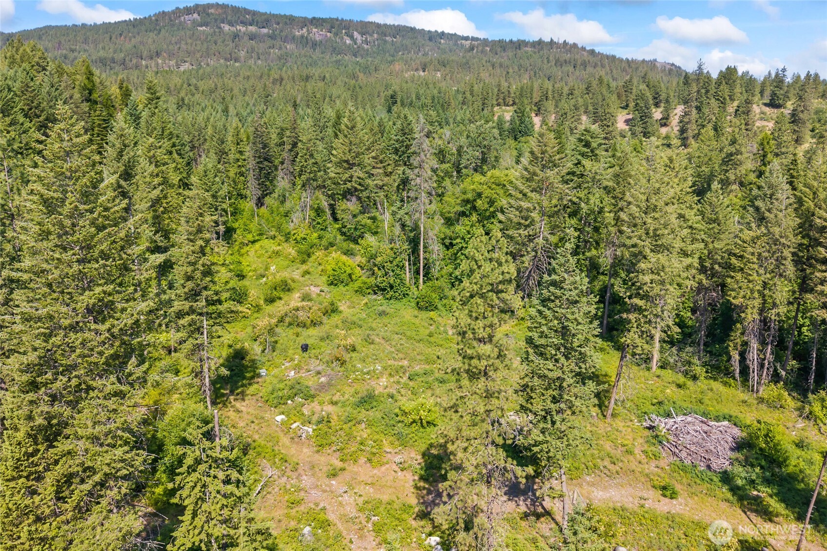 8 Xx Nancy Creek Rd. Property Photo 10