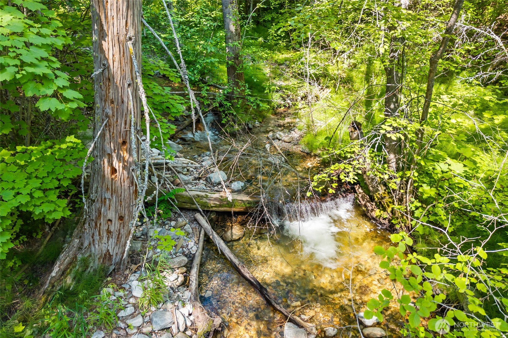 8 Xx Nancy Creek Rd. Property Photo 11