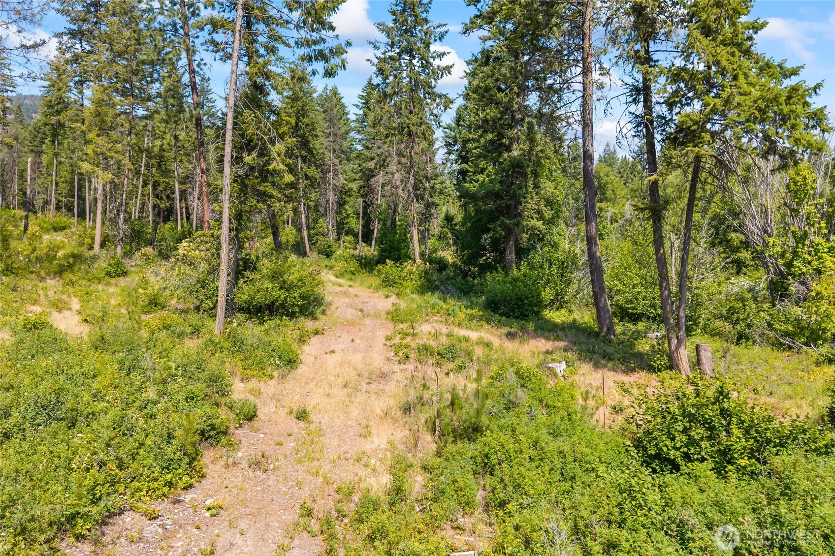 8 Xx Nancy Creek Rd. Property Photo 14