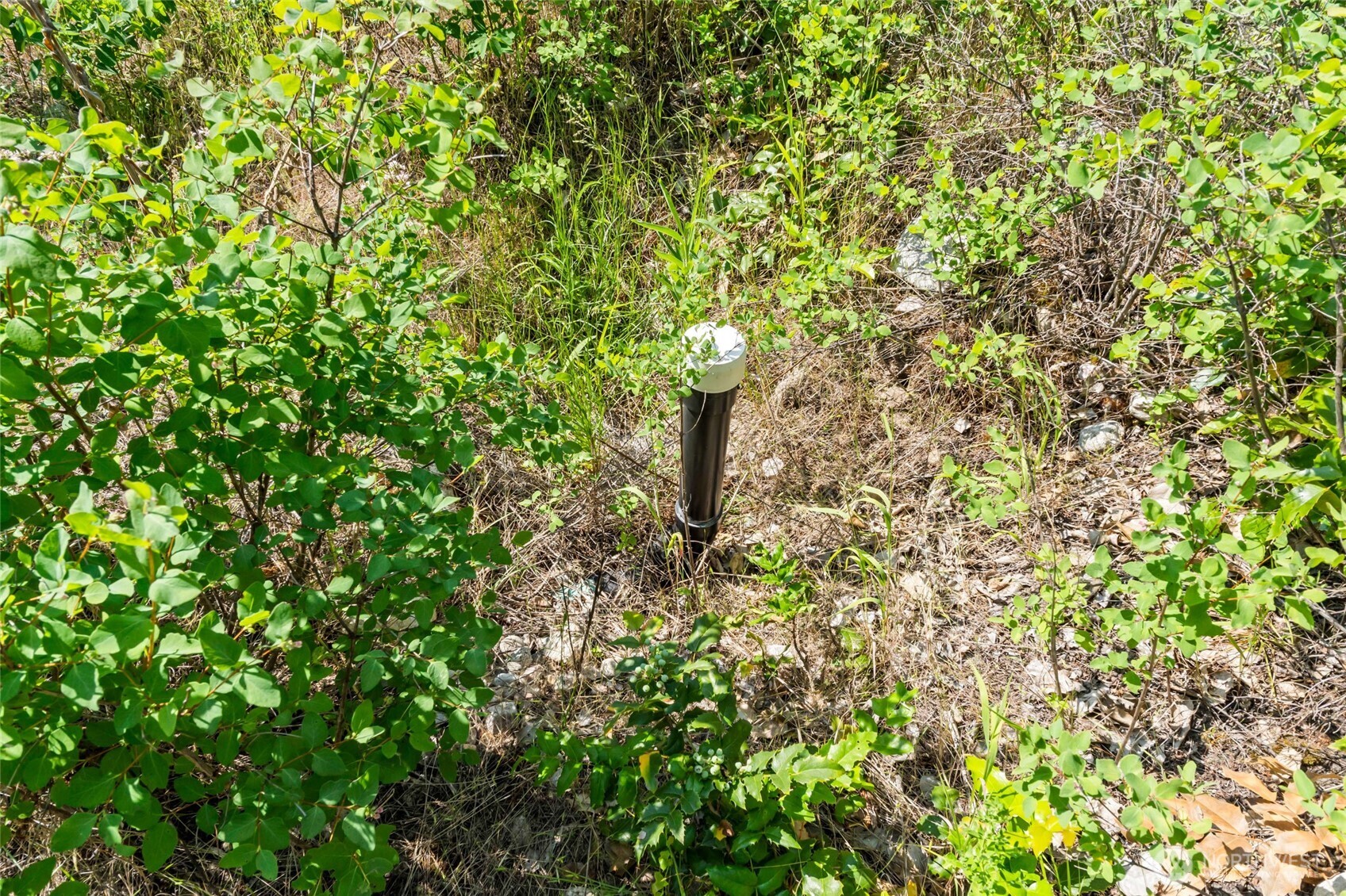 8 Xx Nancy Creek Rd. Property Photo 17