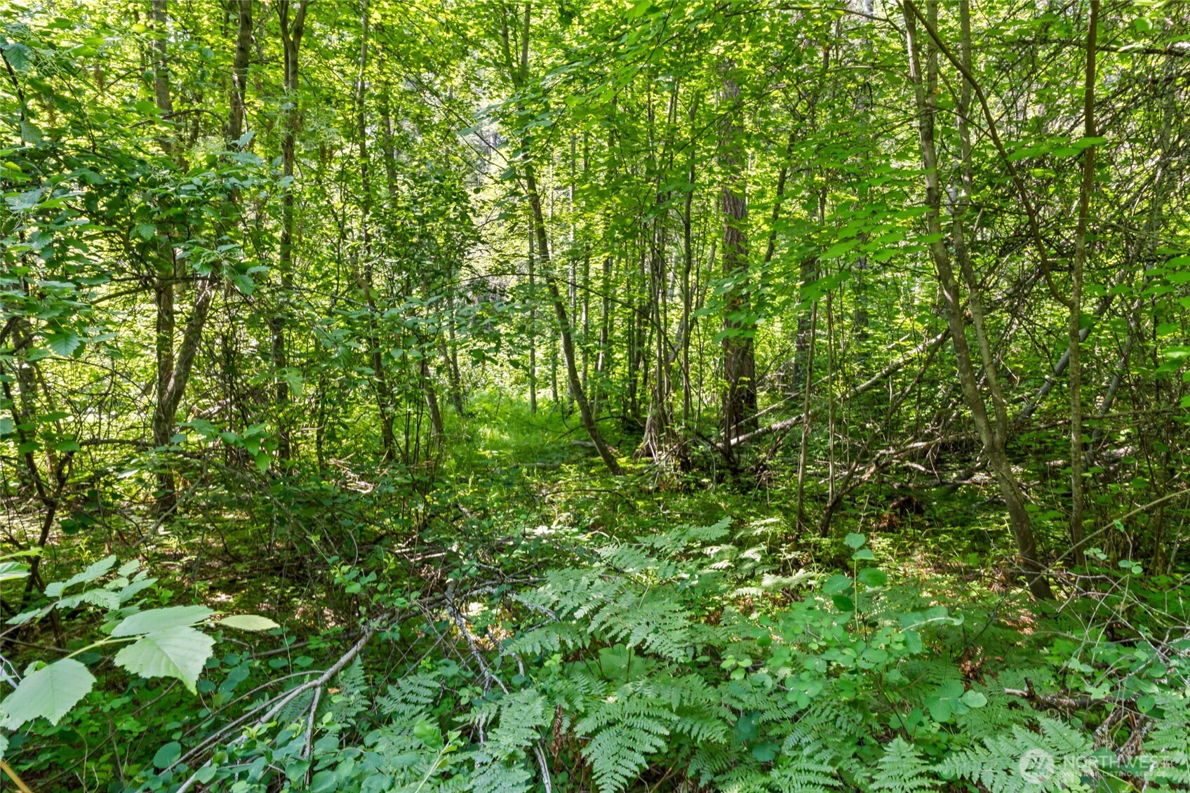 8 Xx Nancy Creek Rd. Property Photo 18