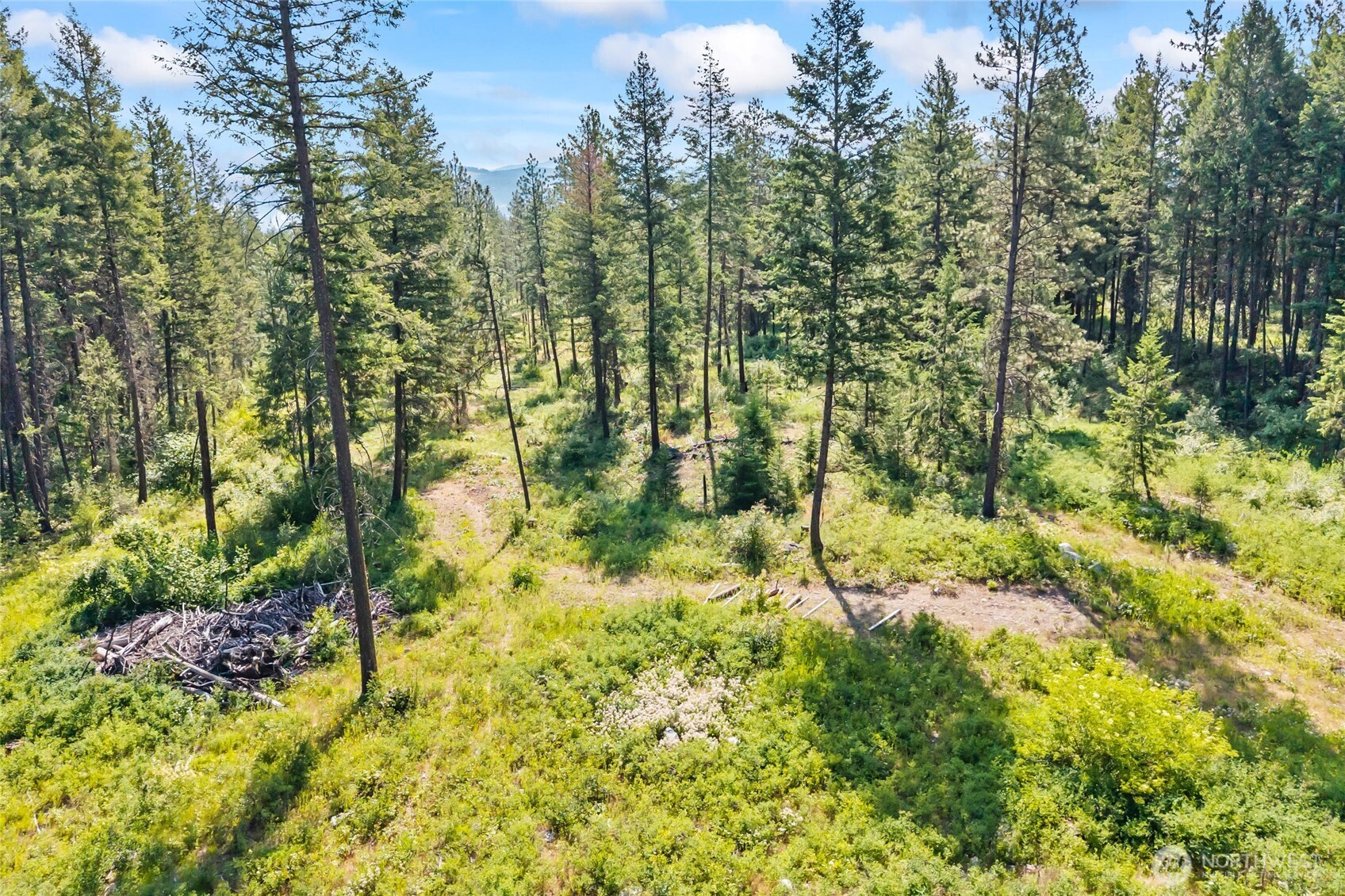 8 Xx Nancy Creek Rd. Property Photo 20