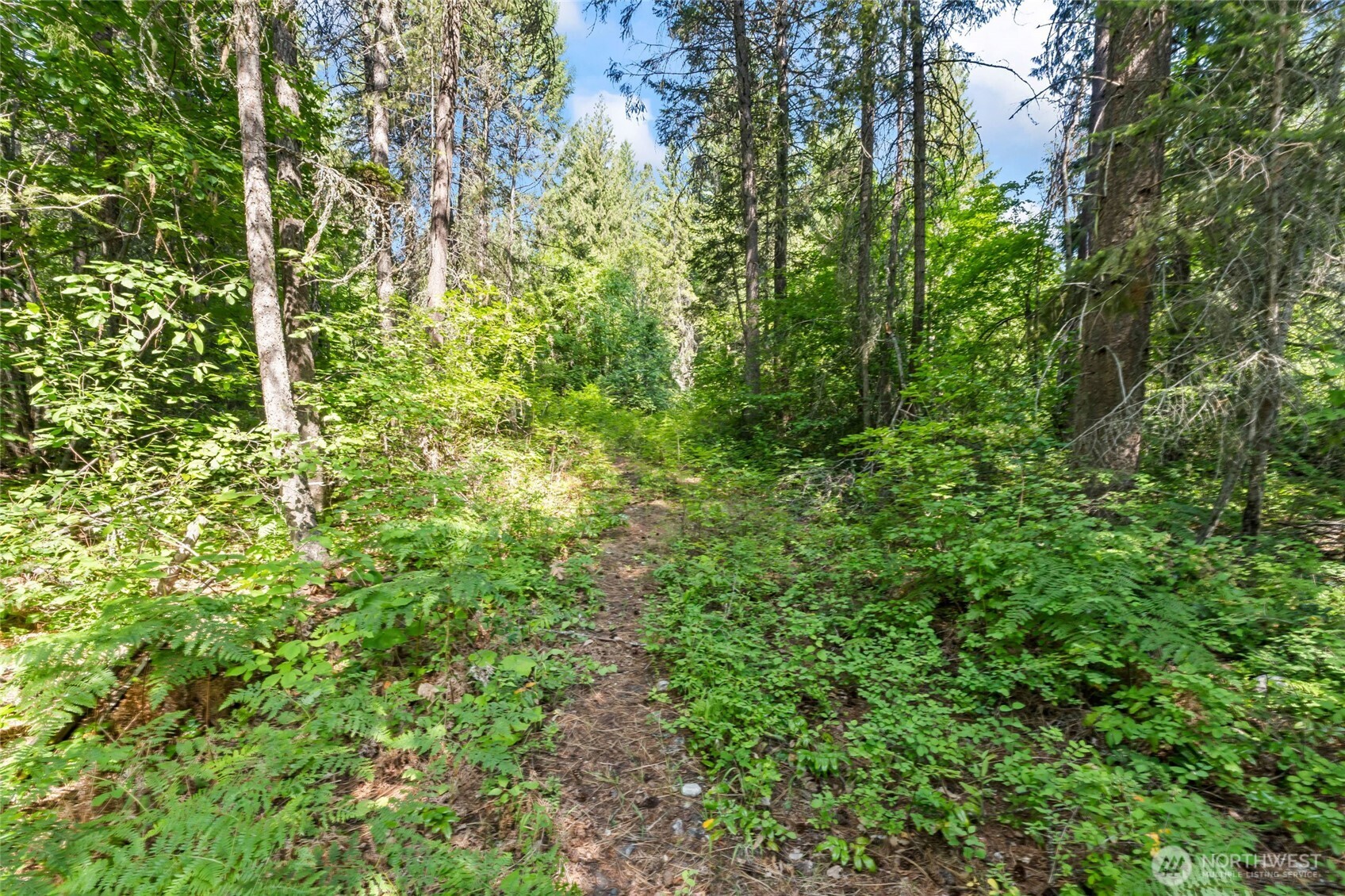 8 Xx Nancy Creek Rd. Property Photo 21