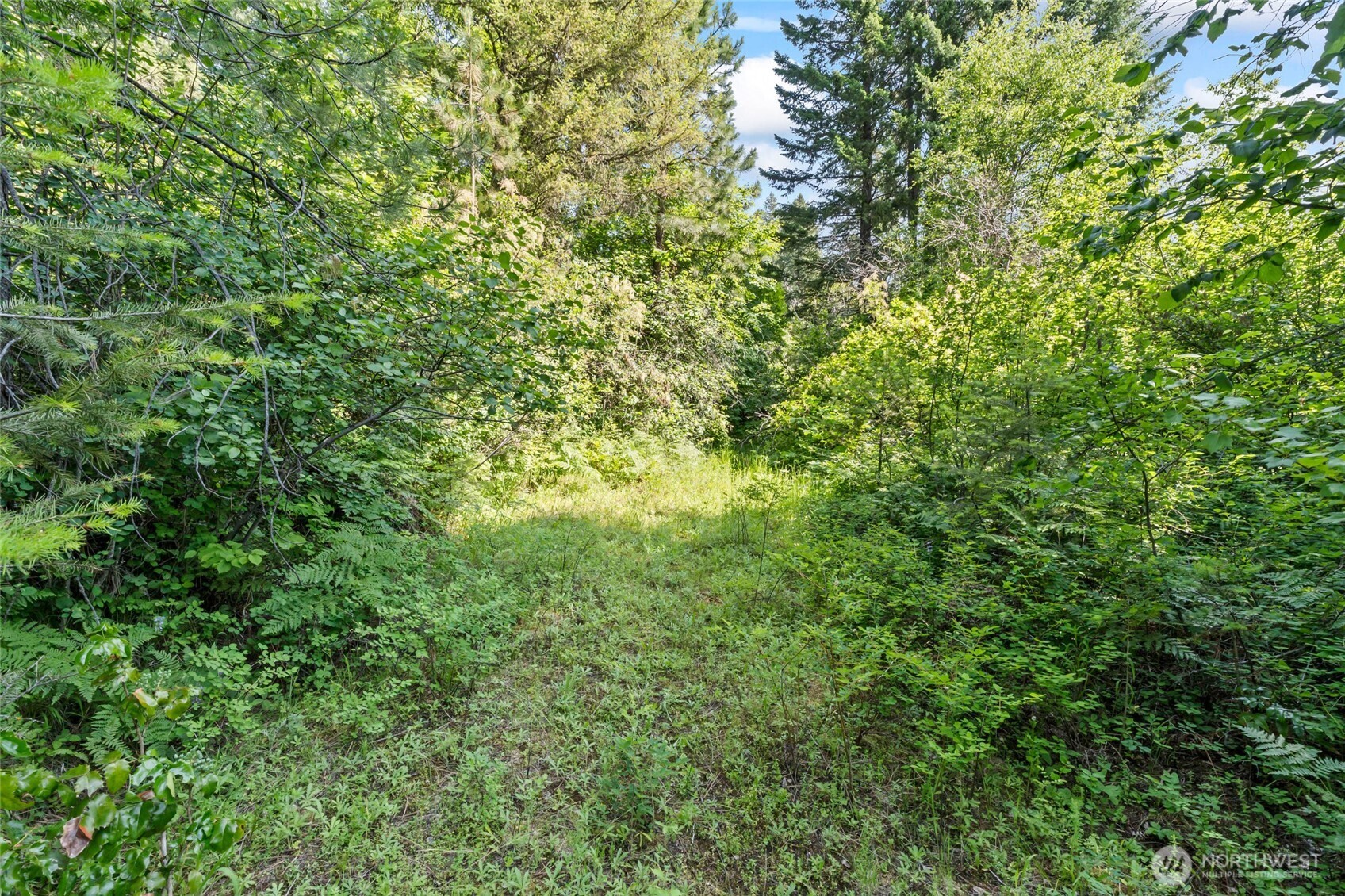 8 Xx Nancy Creek Rd. Property Photo 22