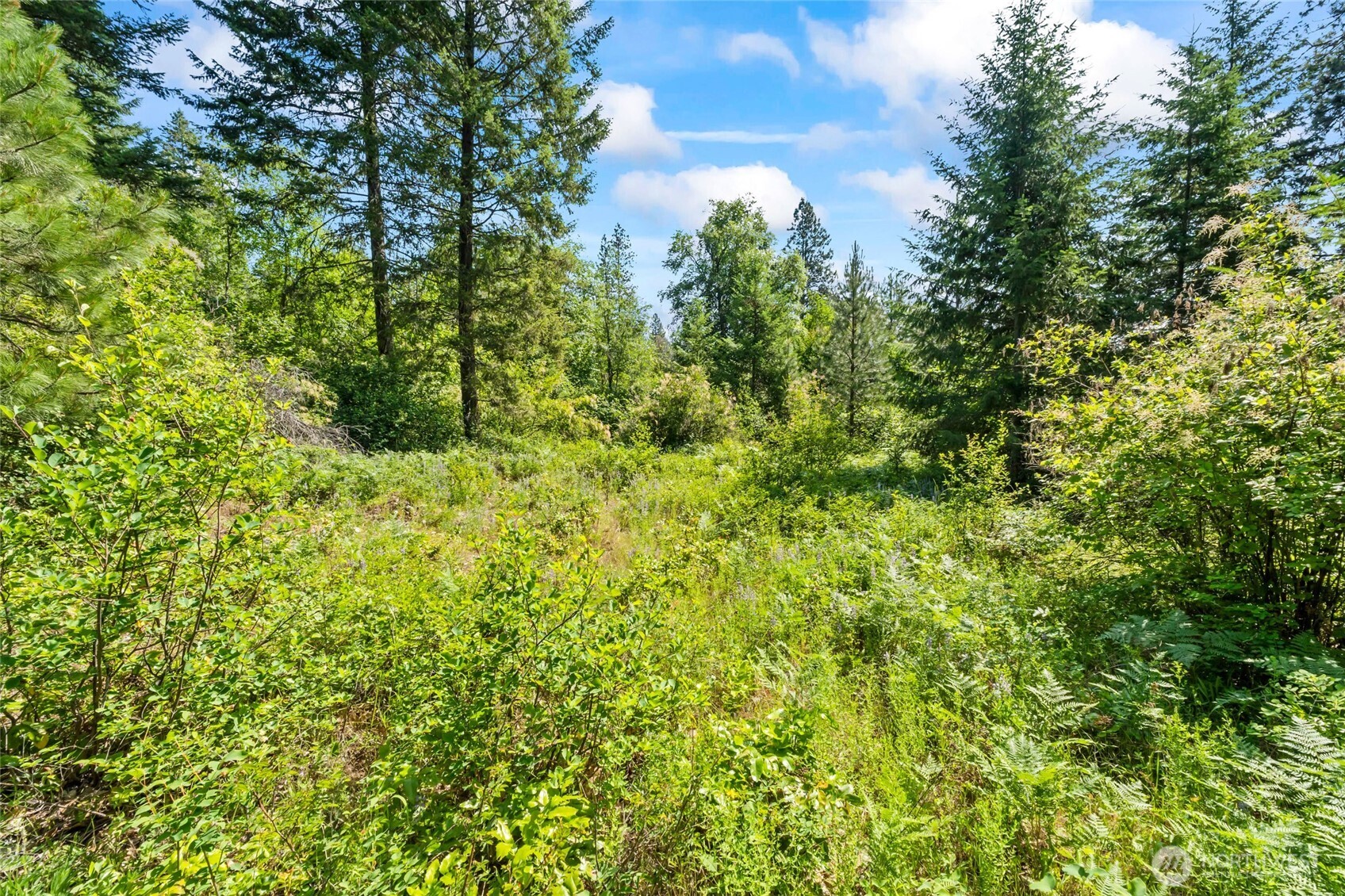 8 Xx Nancy Creek Rd. Property Photo 23