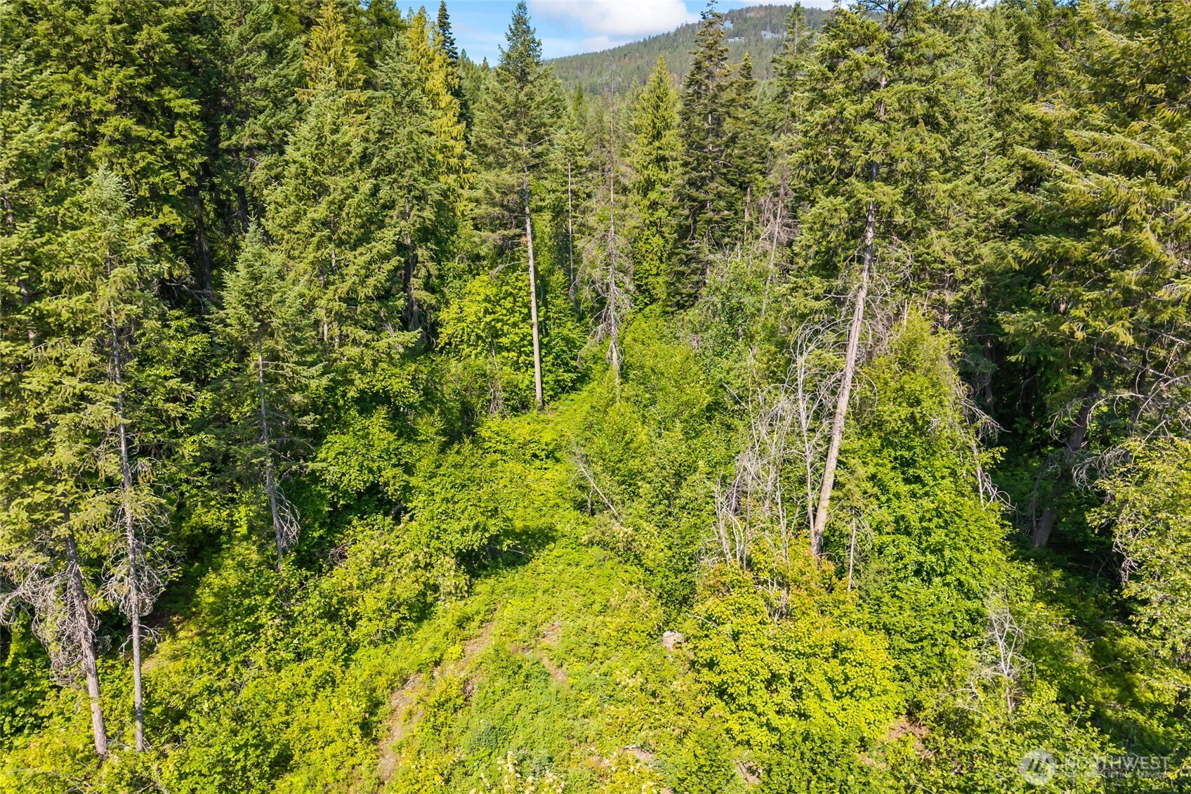 8 Xx Nancy Creek Rd. Property Photo 24