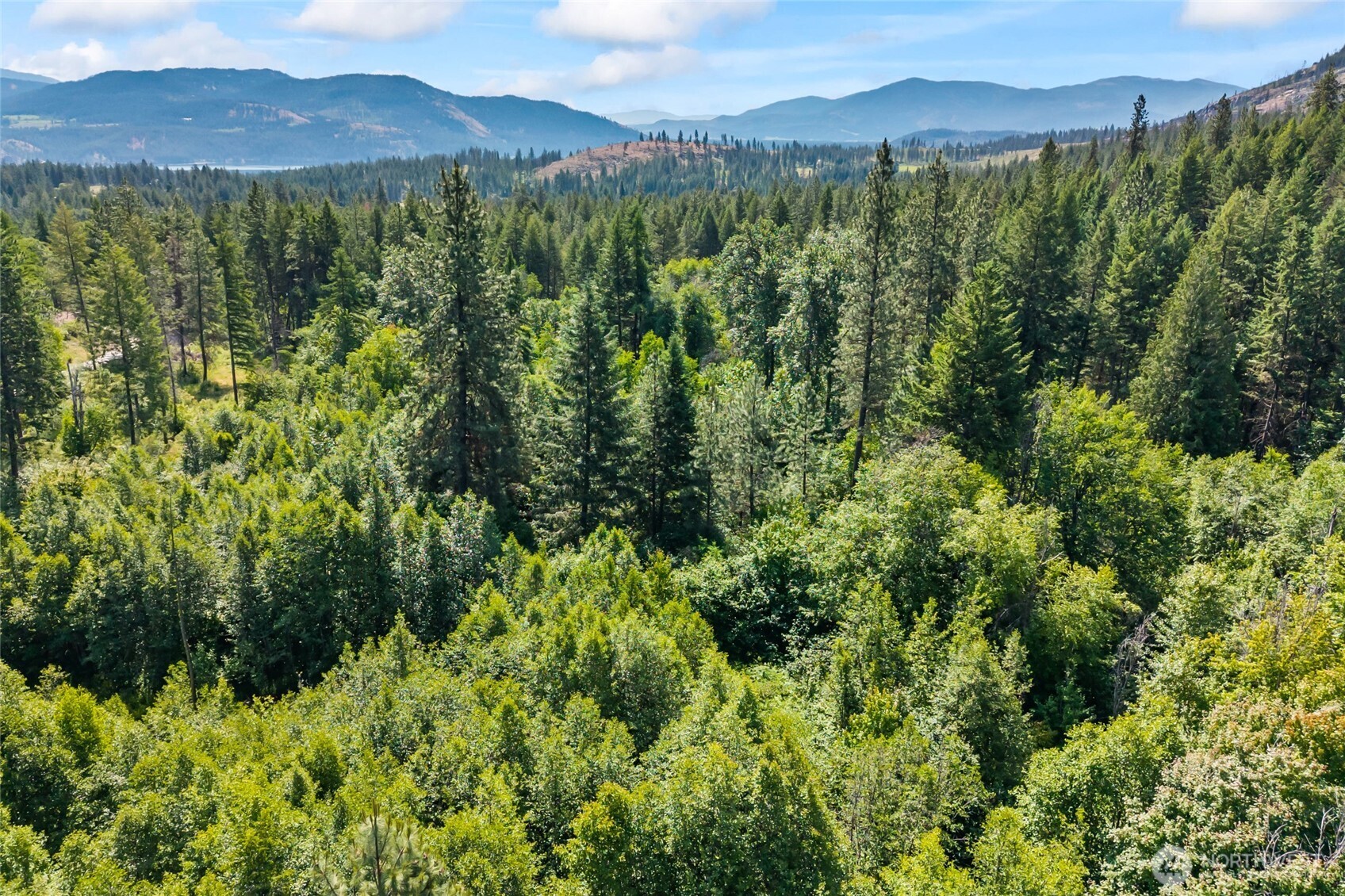 8 Xx Nancy Creek Rd. Property Photo 26