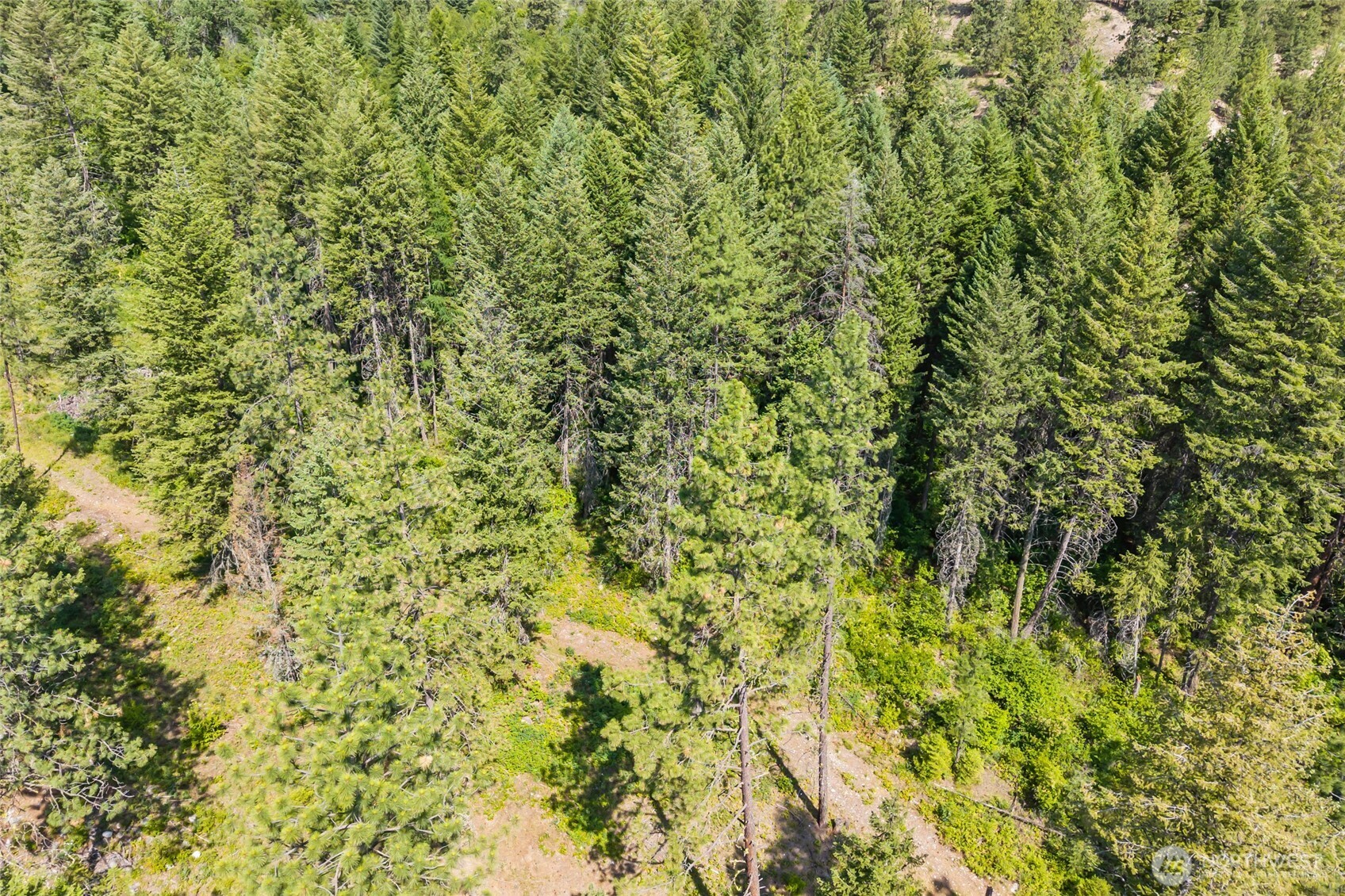 8 Xx Nancy Creek Rd. Property Photo 27