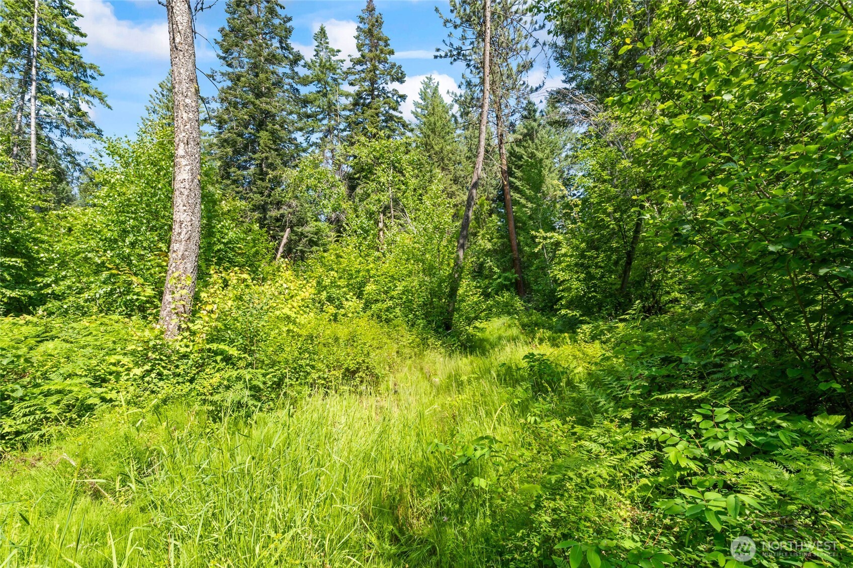 8 Xx Nancy Creek Rd. Property Photo 29