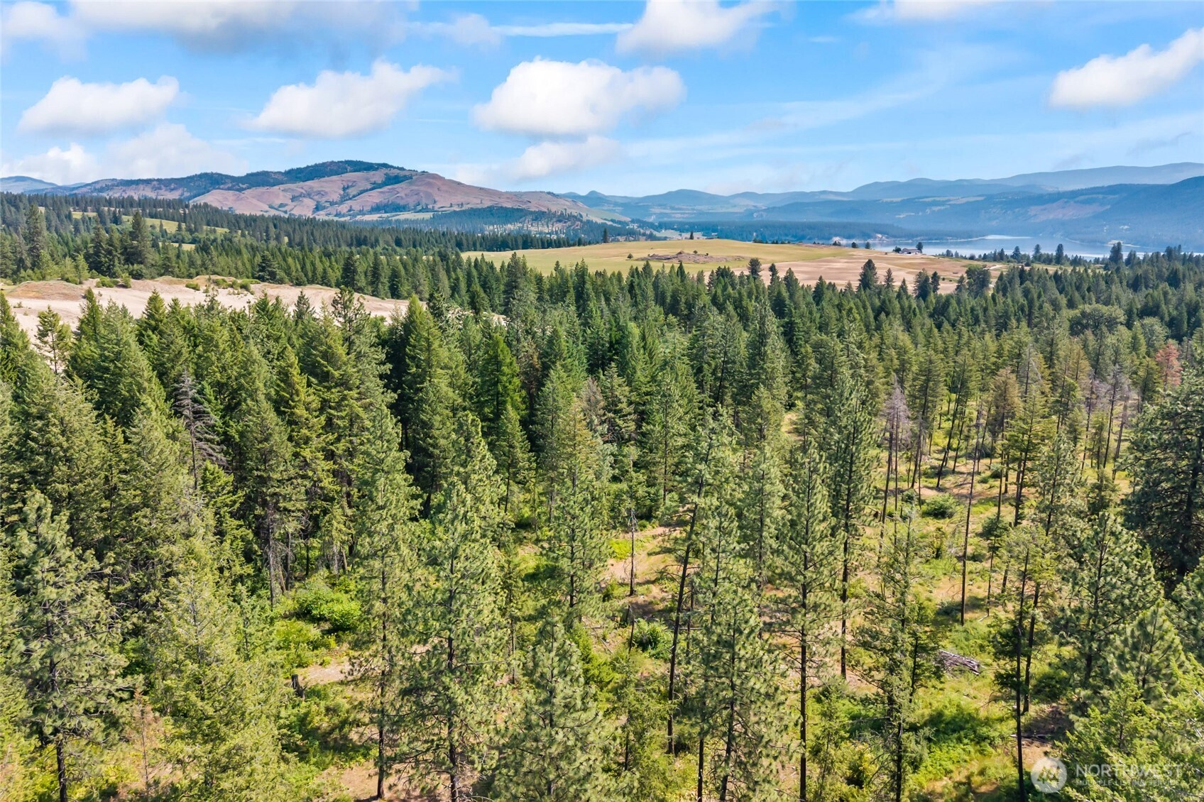 8 Xx Nancy Creek Rd. Property Photo 30