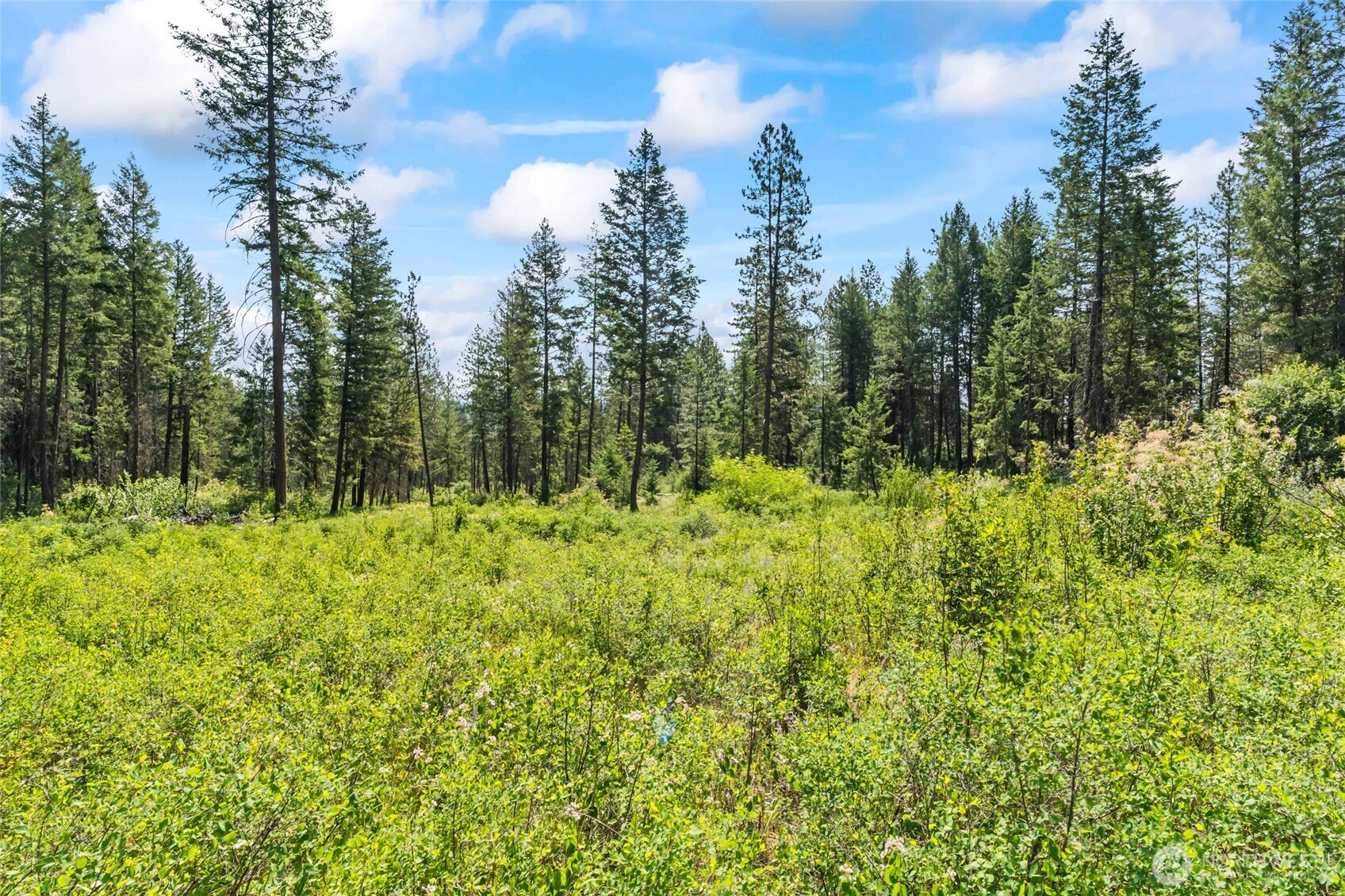 8 Xx Nancy Creek Rd. Property Photo 33