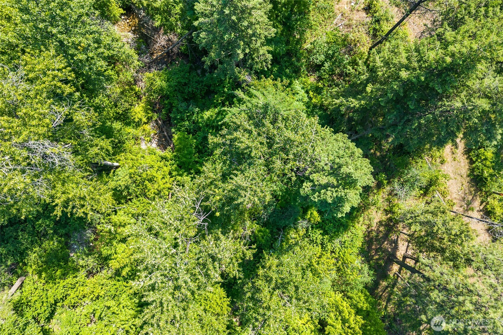 8 Xx Nancy Creek Rd. Property Photo 34