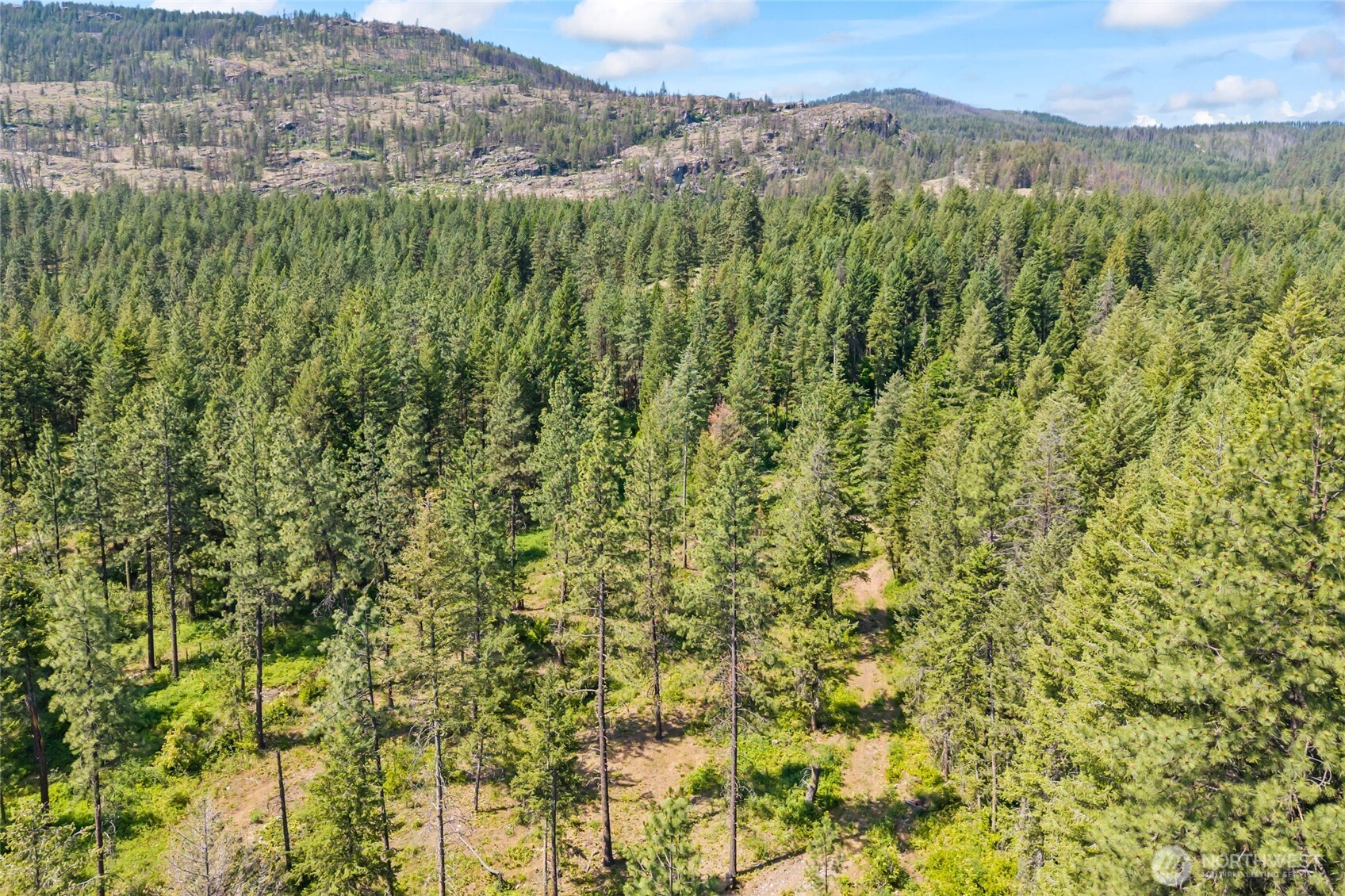 8 Xx Nancy Creek Rd. Property Photo 35