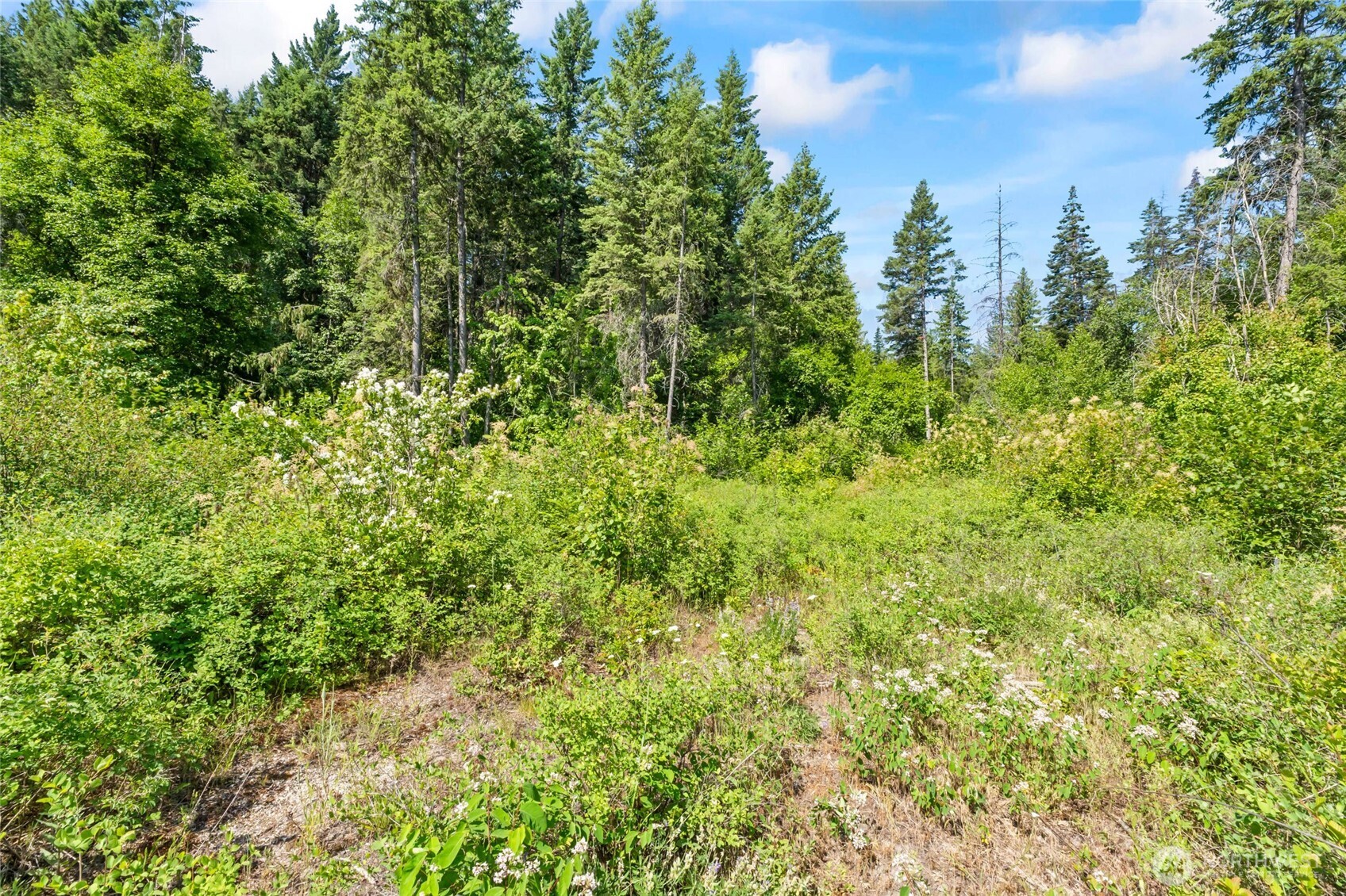 8 Xx Nancy Creek Rd. Property Photo 36