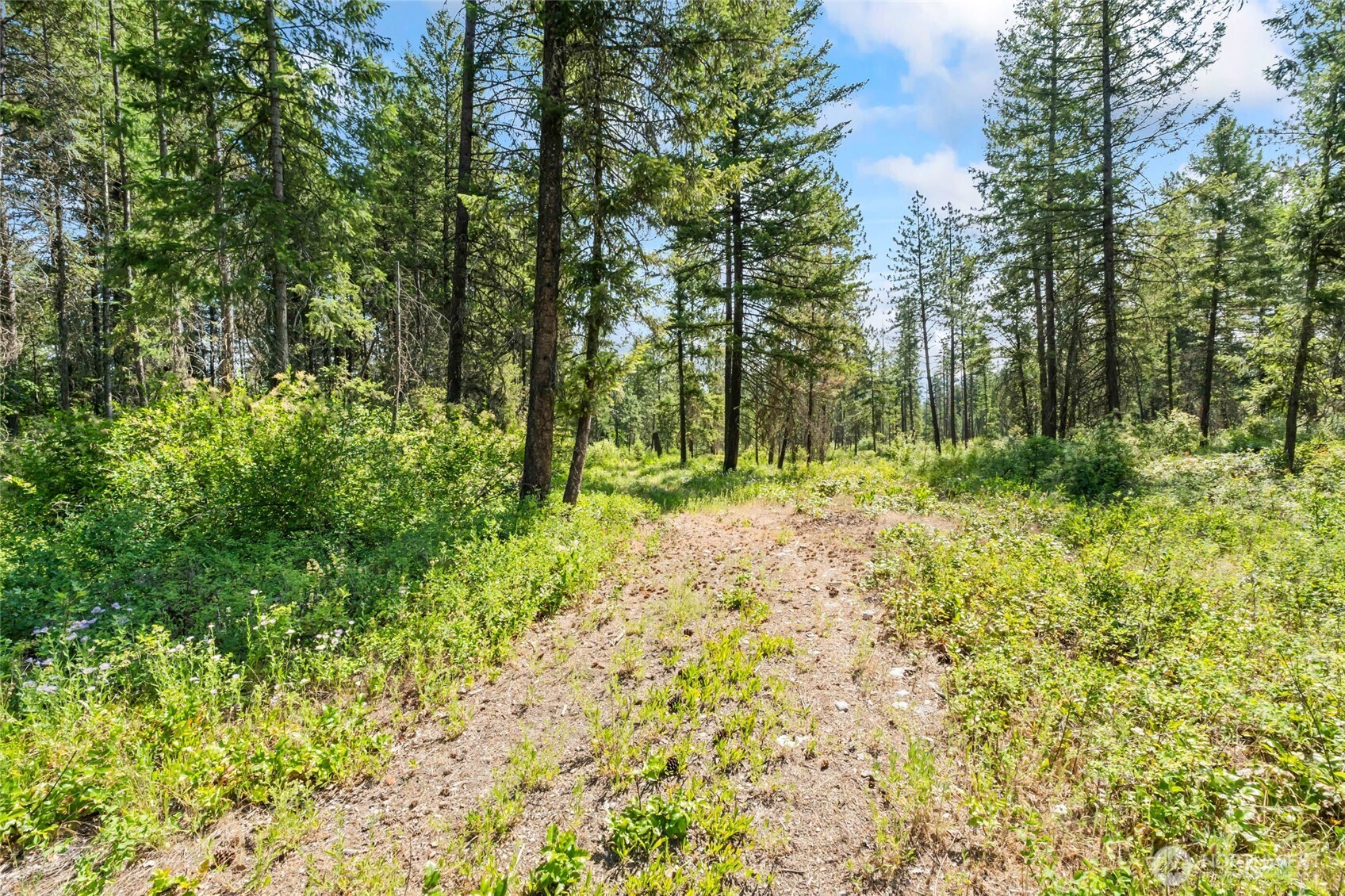 8 Xx Nancy Creek Rd. Property Photo 38