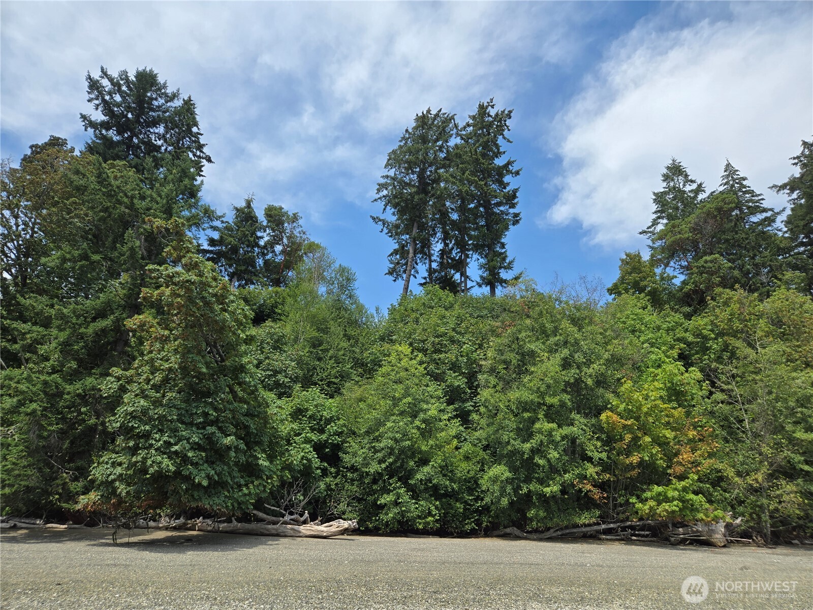 14528 45th Street Property Photo 1