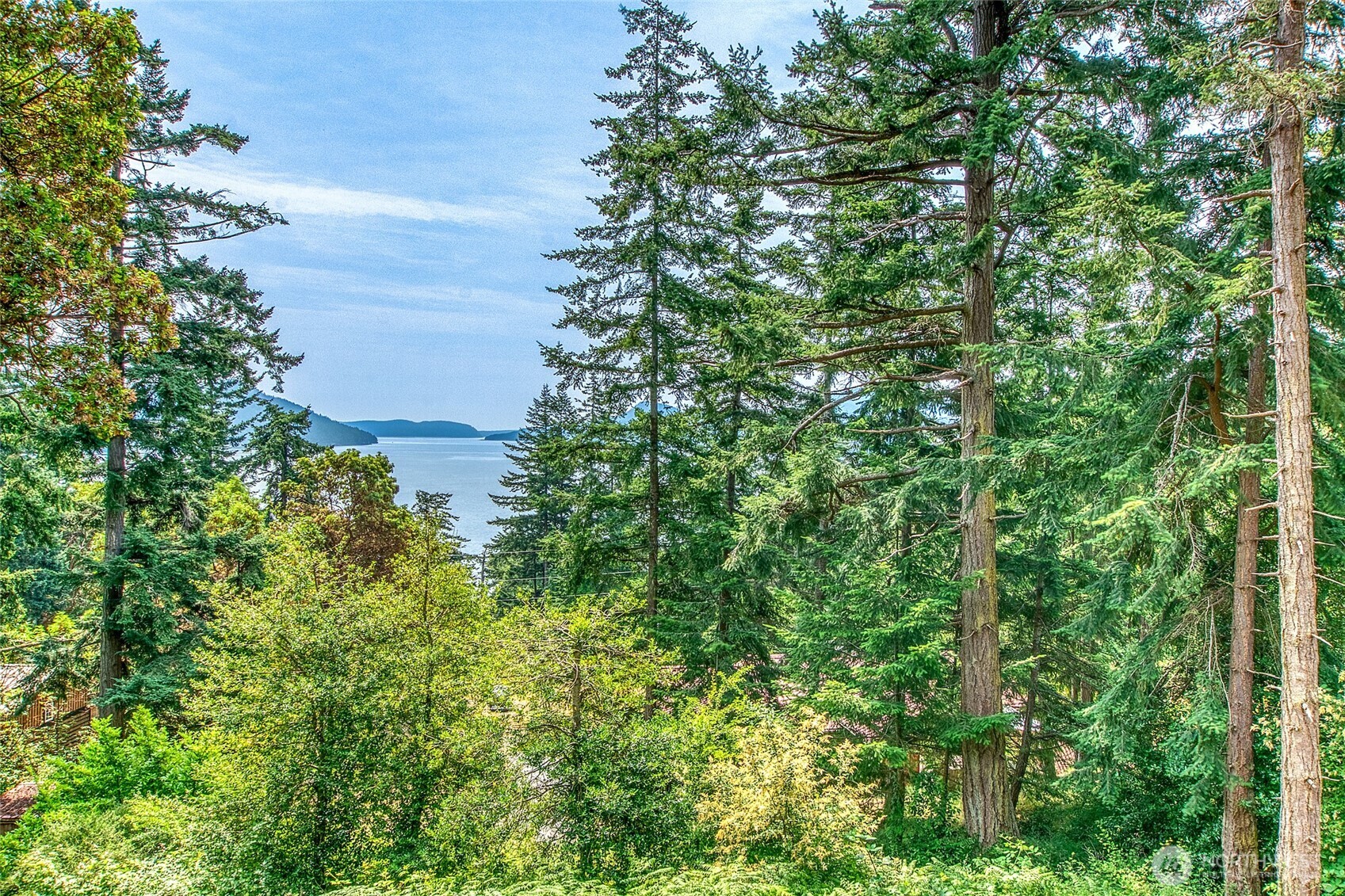 211 Geer Lane Property Photo 35