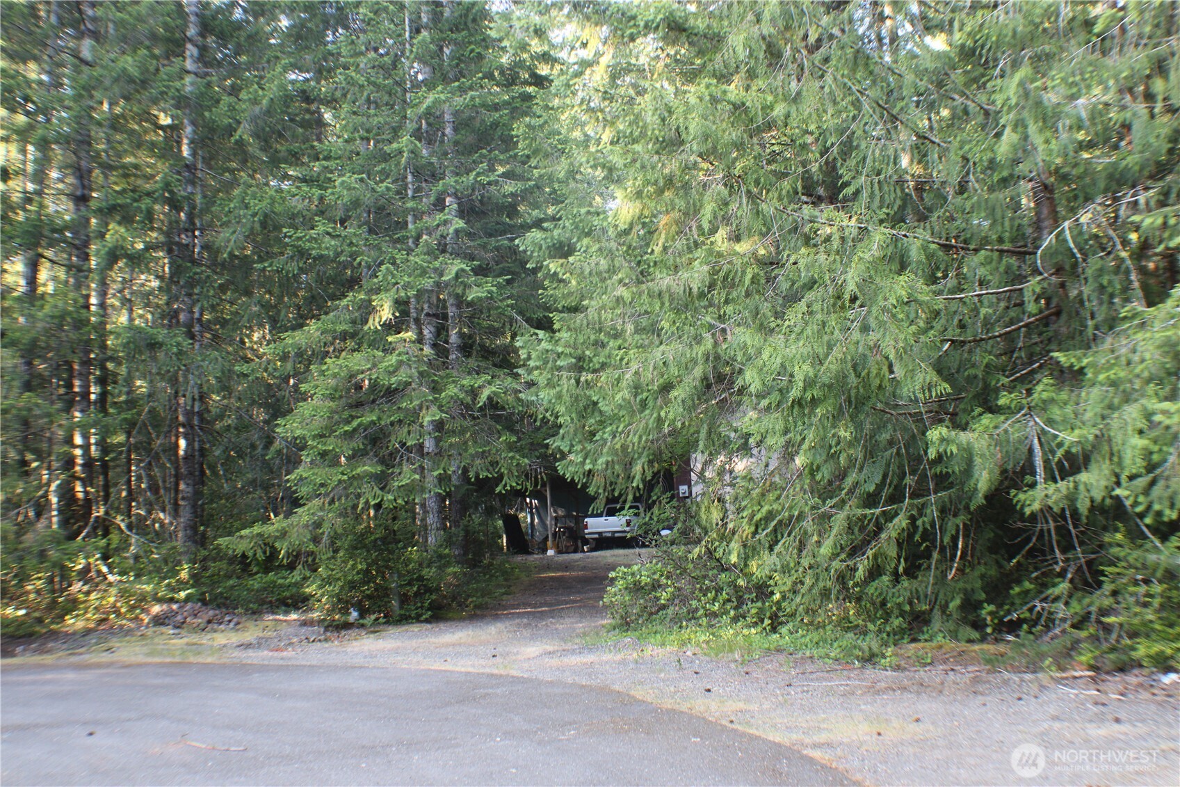 33 N Dow Mountain Place Property Photo 7