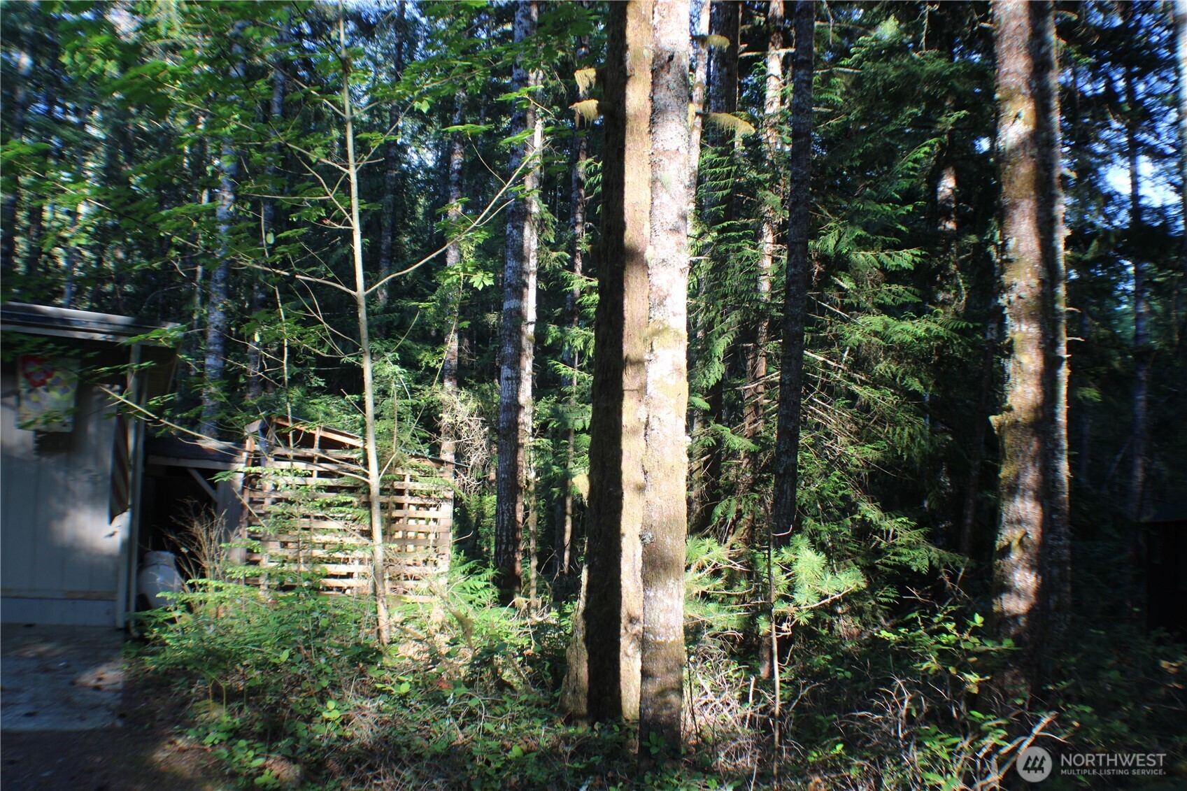 33 N Dow Mountain Place Property Photo 8