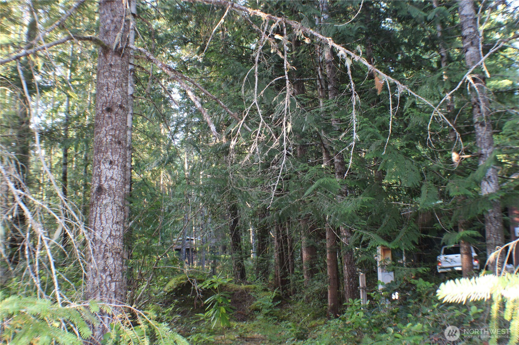 33 N Dow Mountain Place Property Photo 11