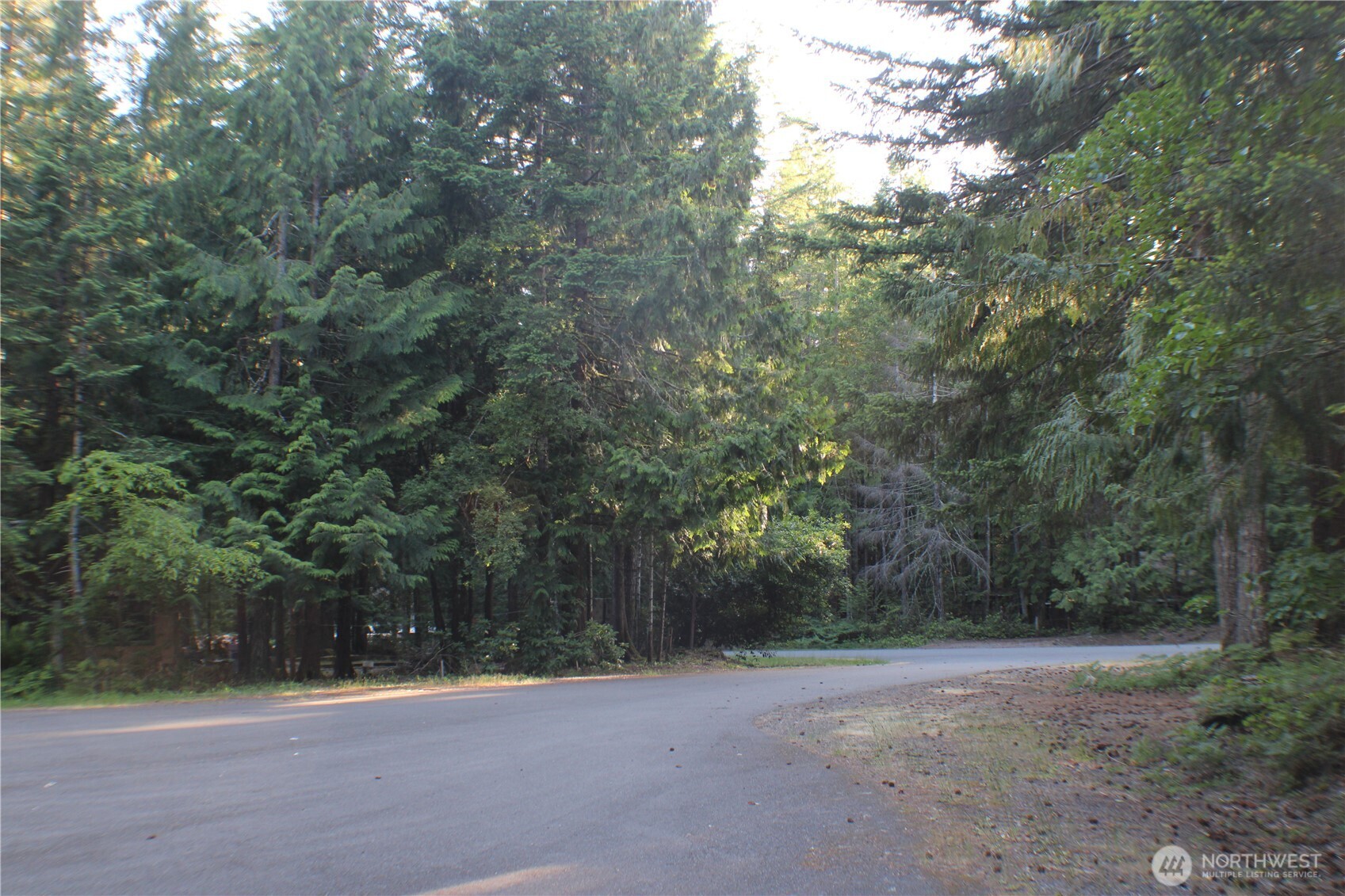 33 N Dow Mountain Place Property Photo 12
