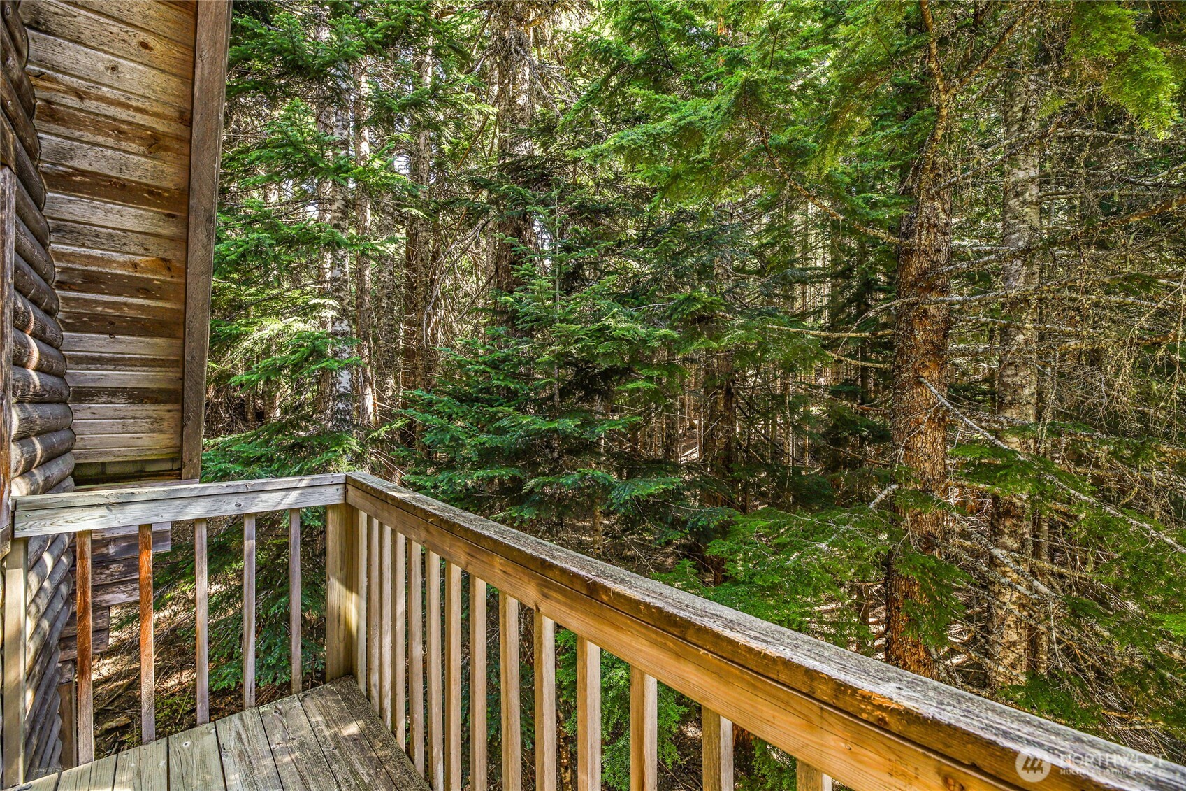 81 Snow Cabin Place Property Photo 14