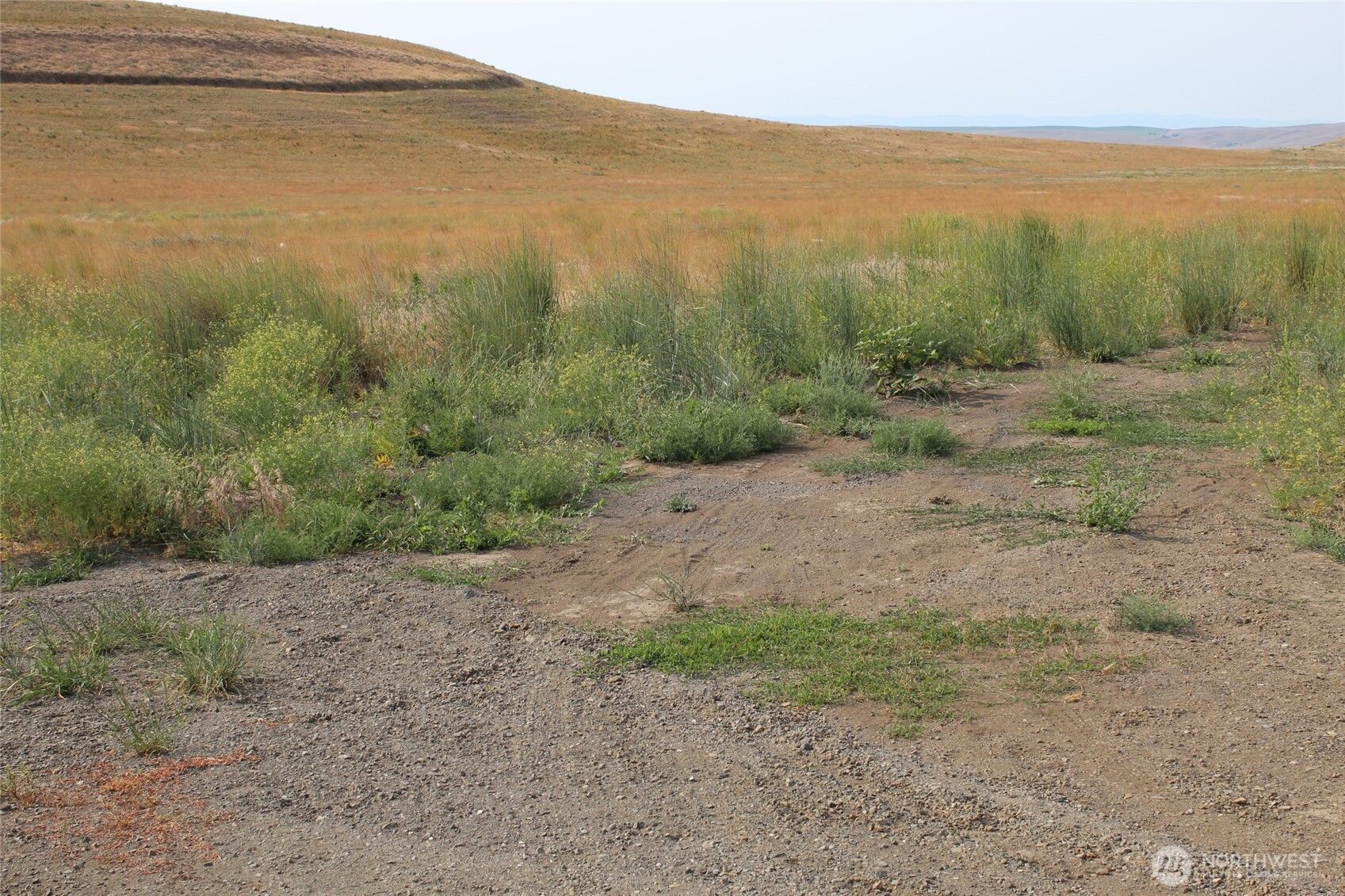 0 Allert Road Property Photo 2