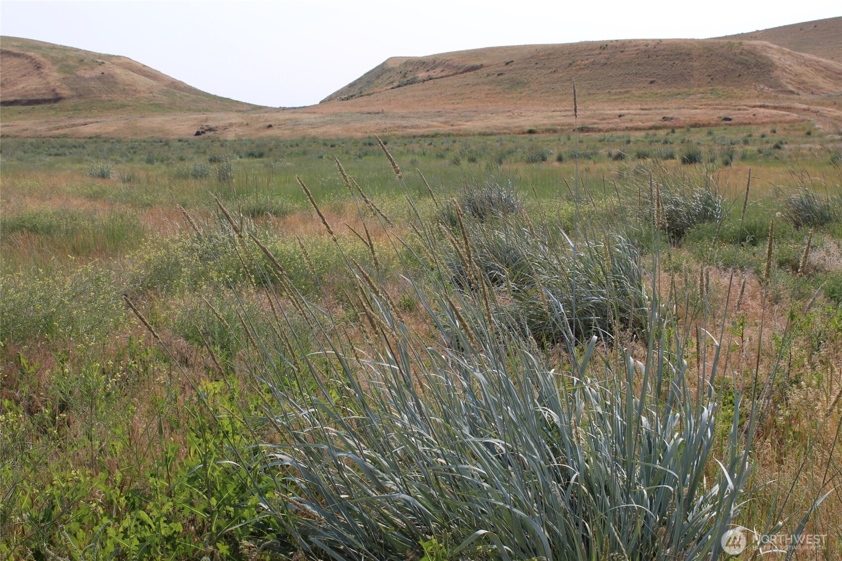 0 Allert Road Property Photo 3