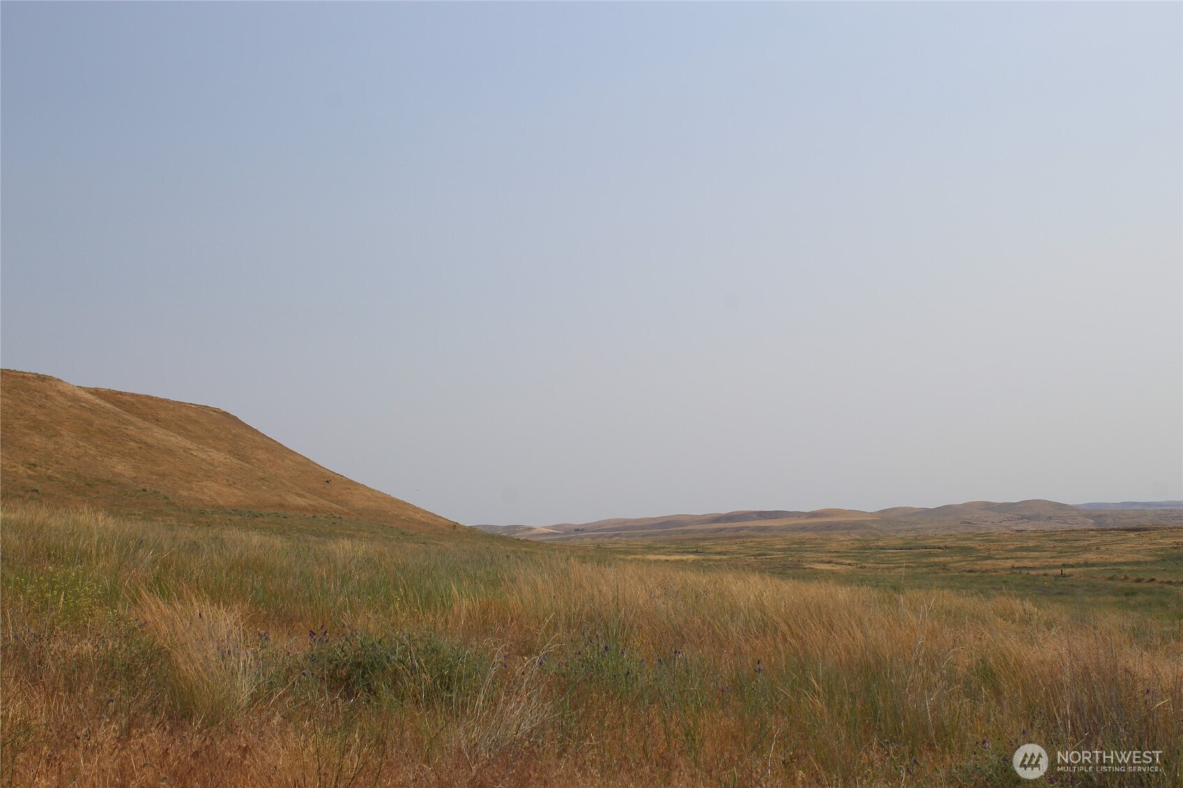 0 Allert Road Property Photo 4