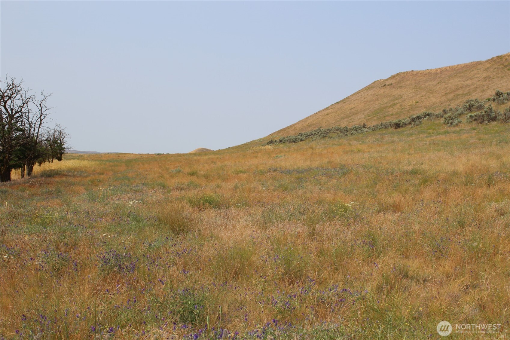 0 Allert Road Property Photo 5